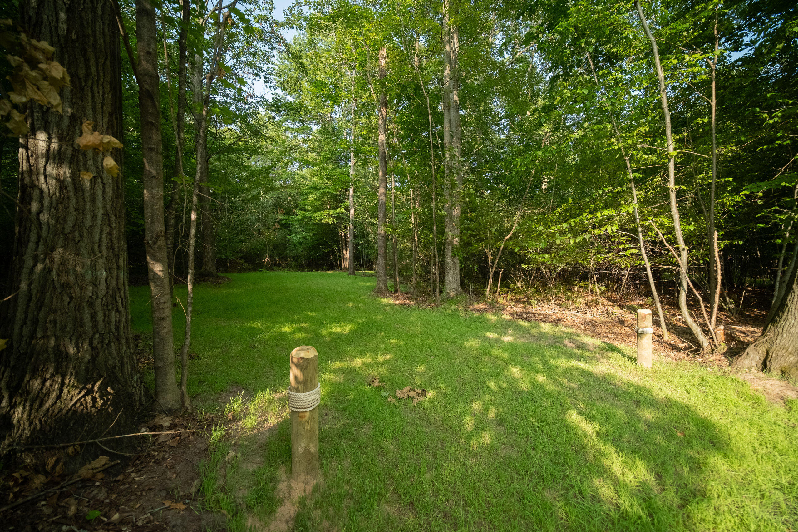 Emerald Ridge Trail, 3