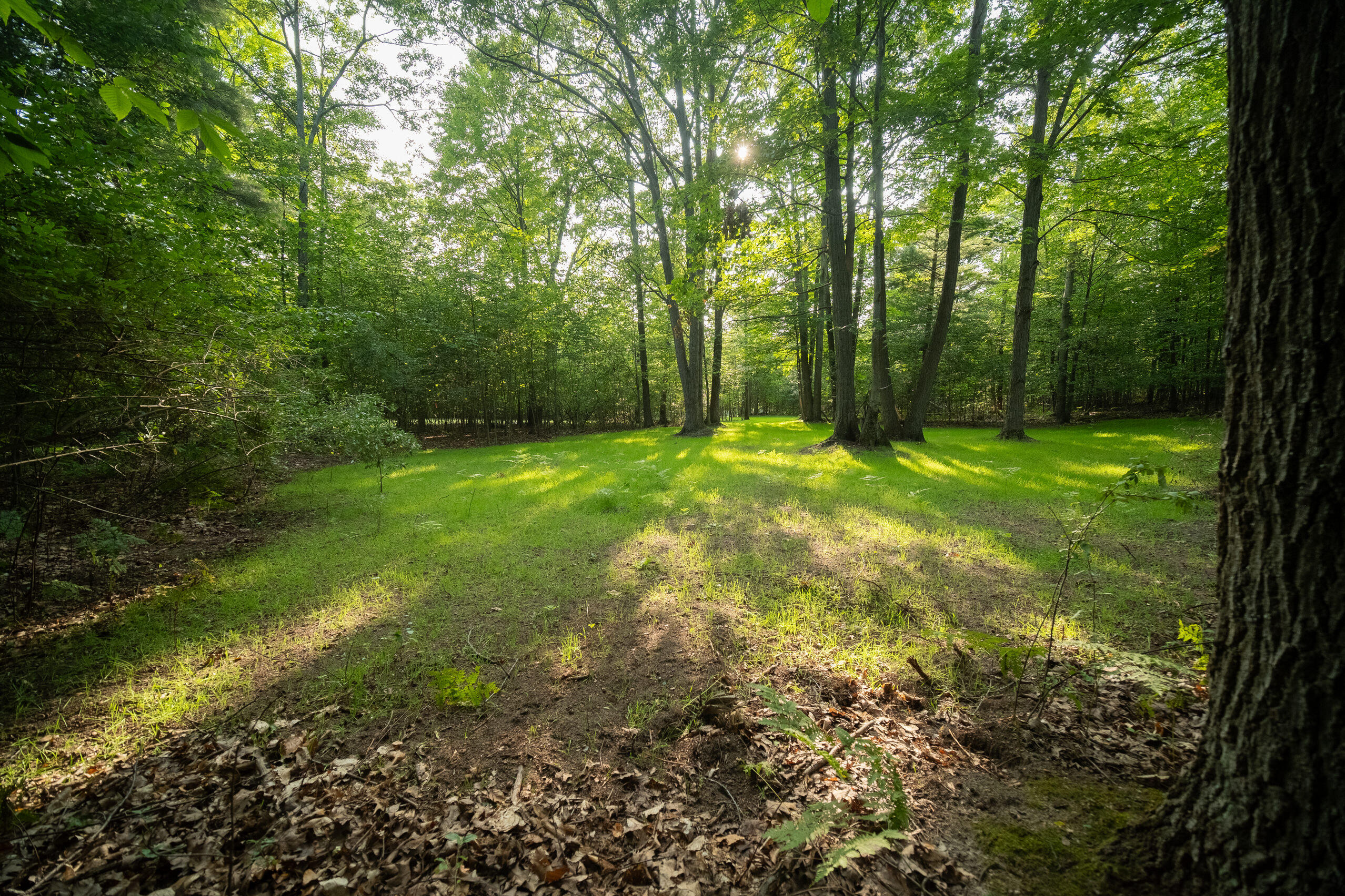 Emerald Ridge Trail, 3