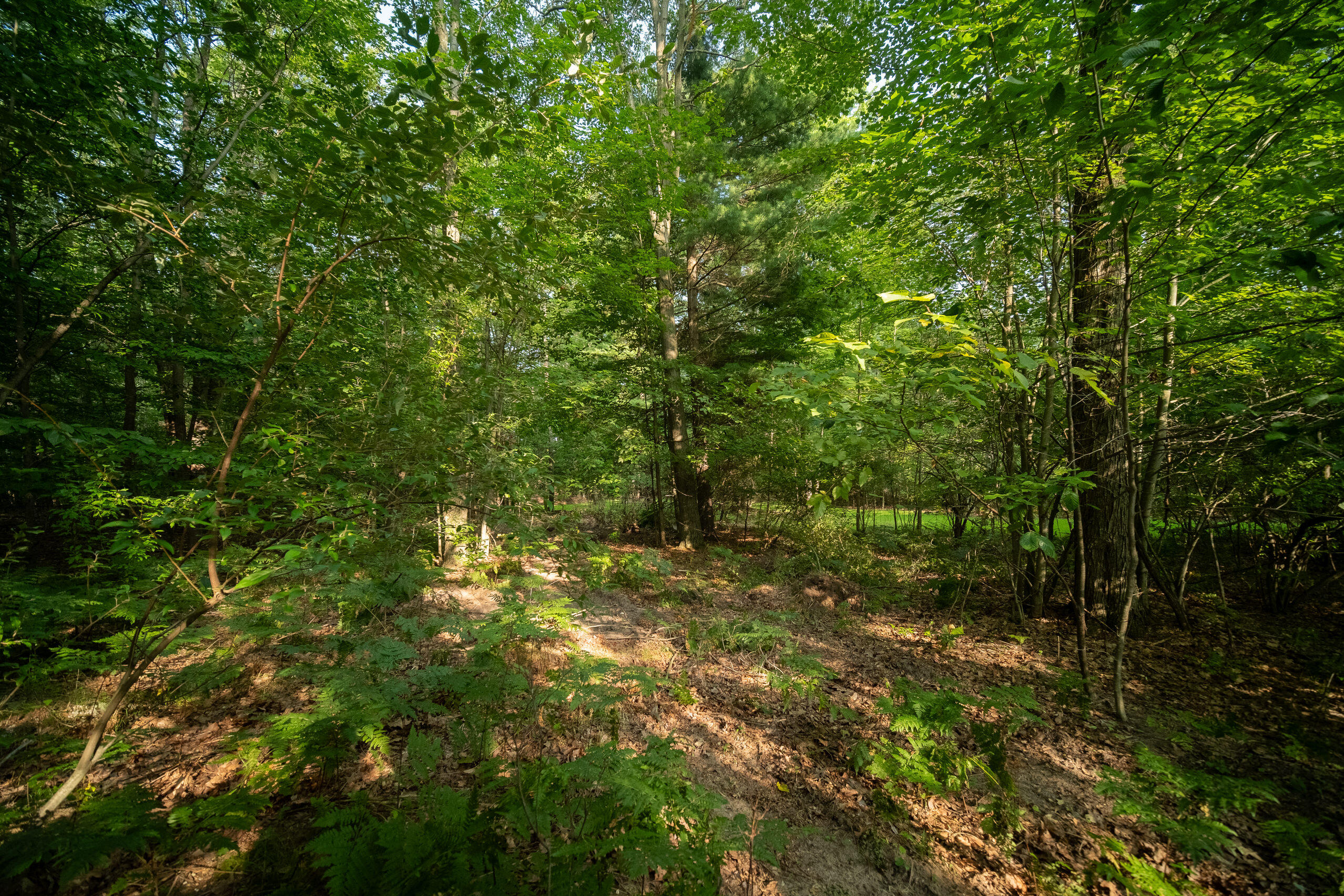 Emerald Ridge Trail, 3