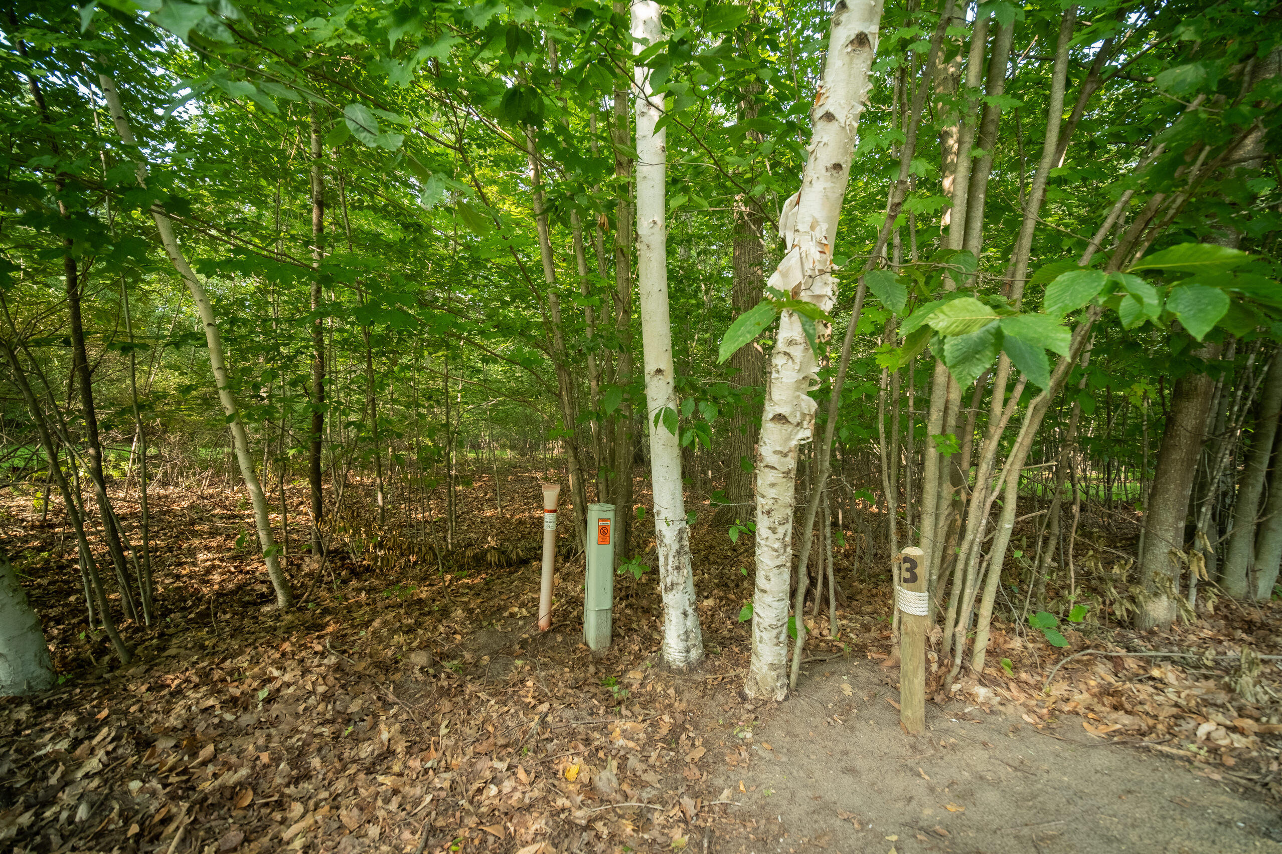 Emerald Ridge Trail, 3