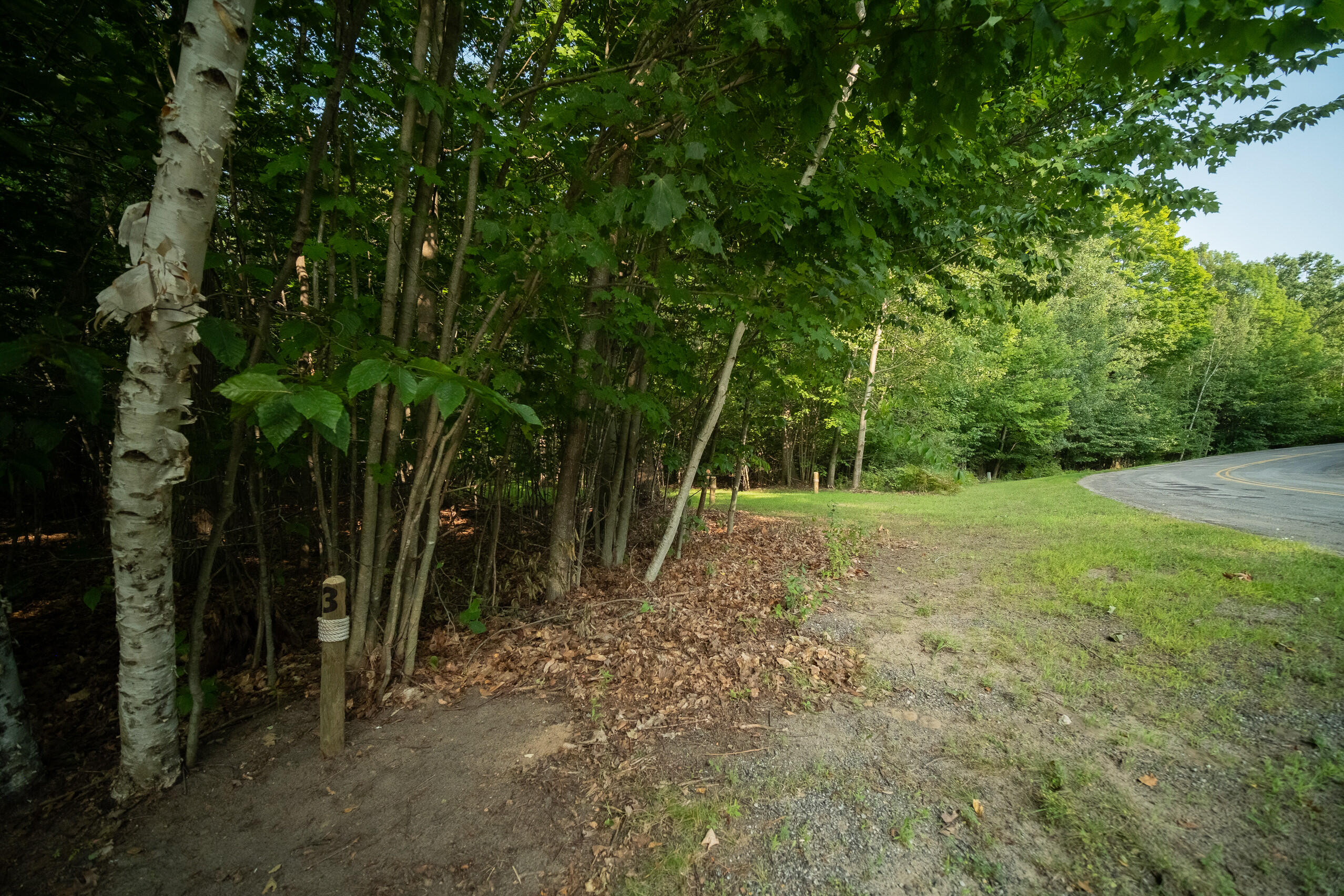 Emerald Ridge Trail, 4 & 5
