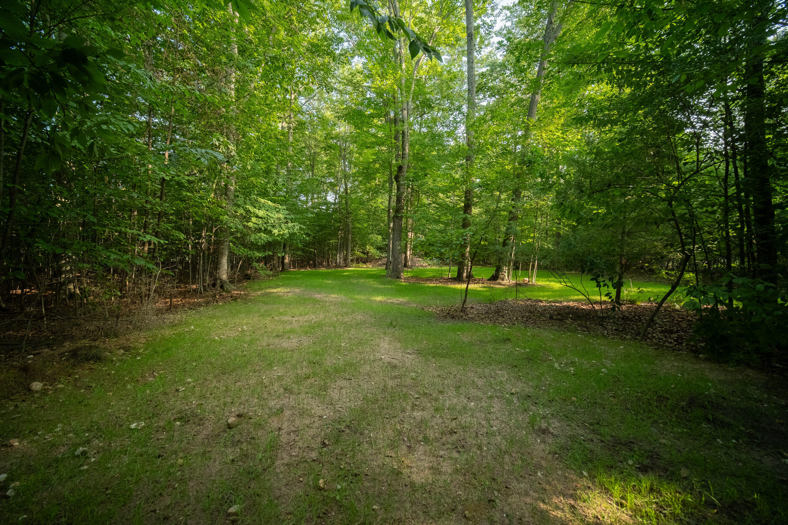 Emerald Ridge Trail, 4 & 5