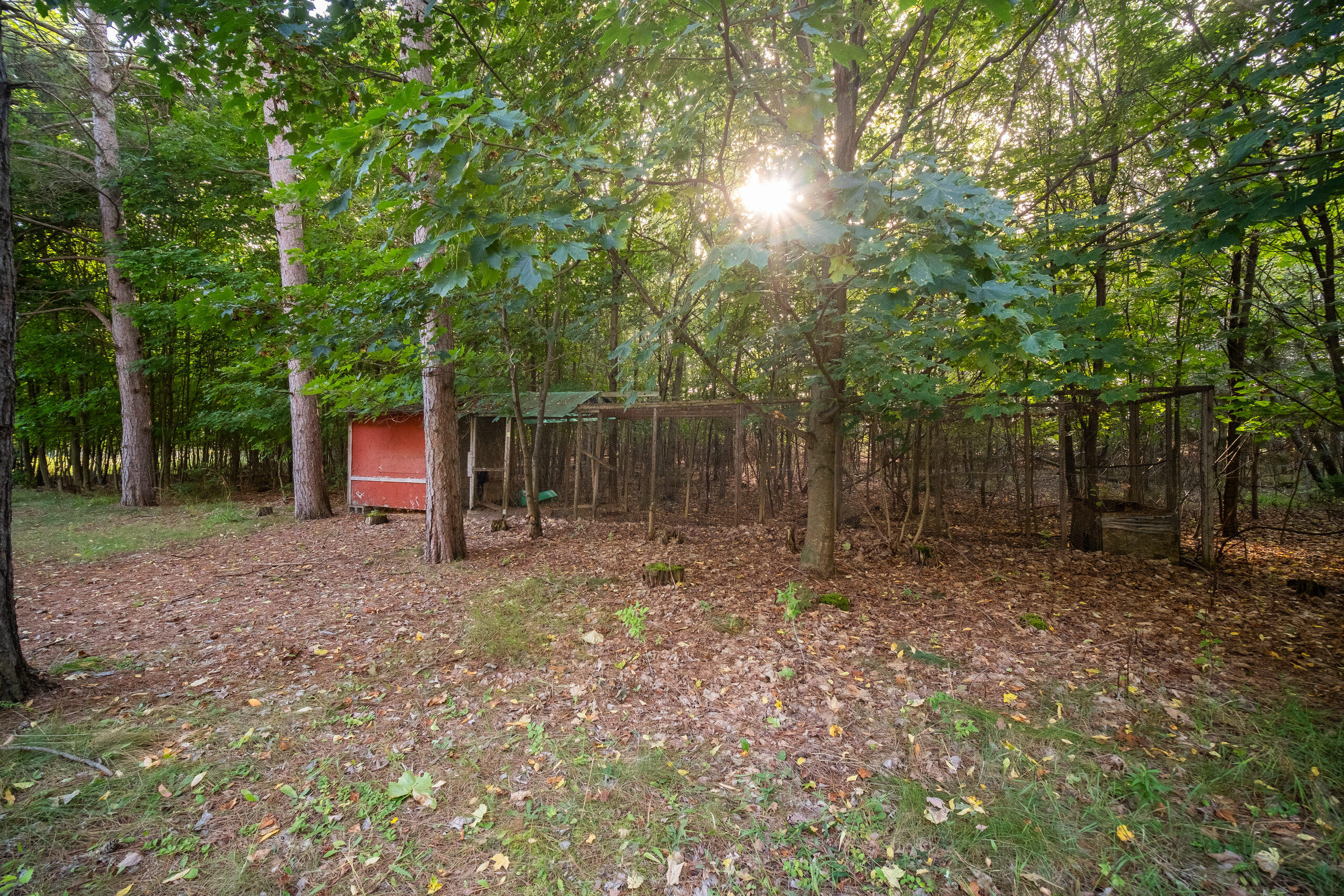 4300 Potter Road