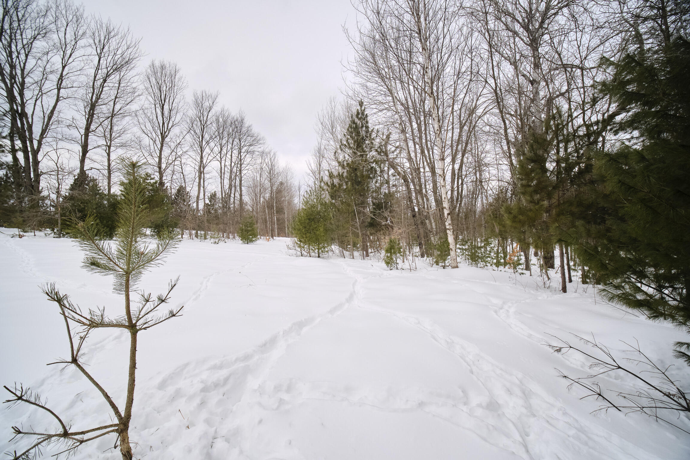 15837 Erwin Road
