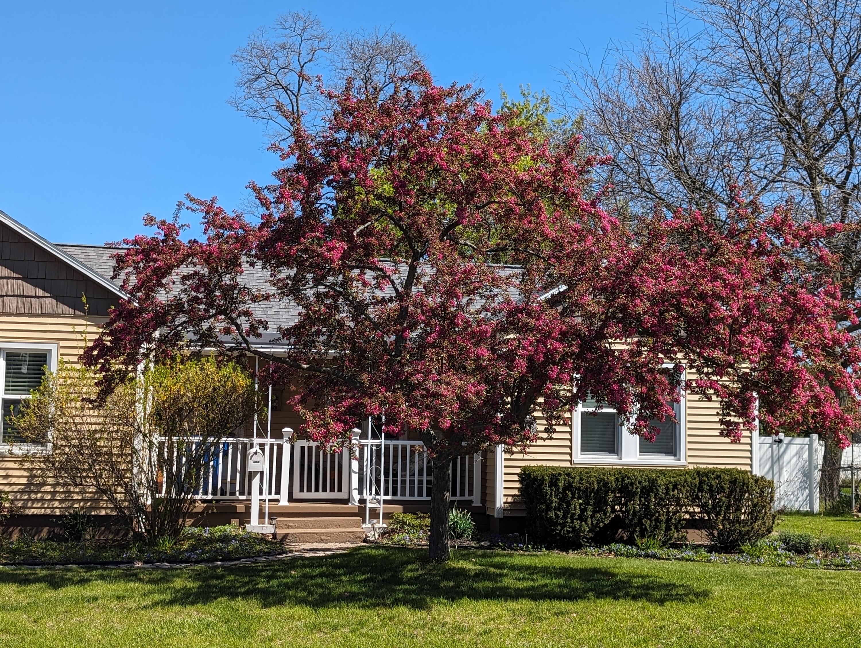 256 Hughes Street