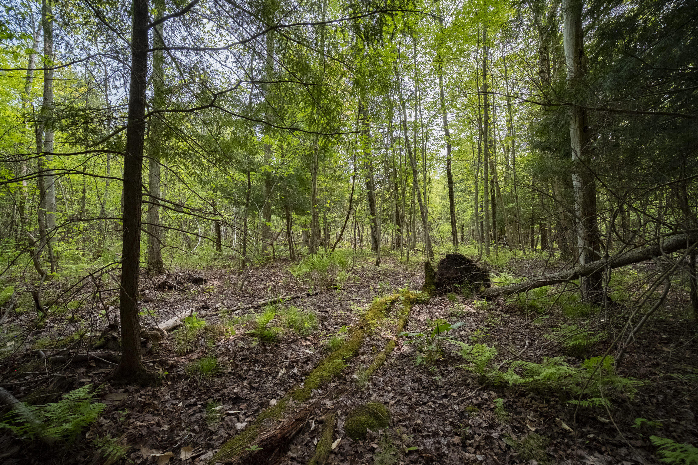 (5.70 Acres) Carter Creek Road