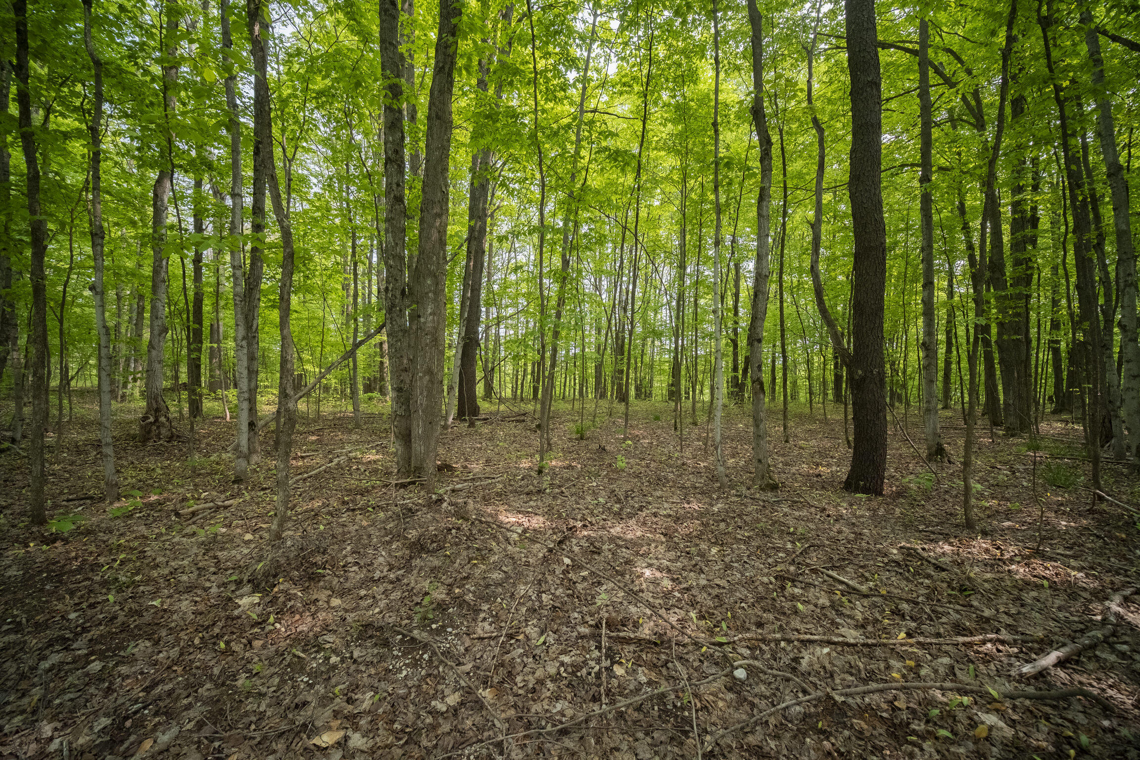 (5.70 Acres) Carter Creek Road