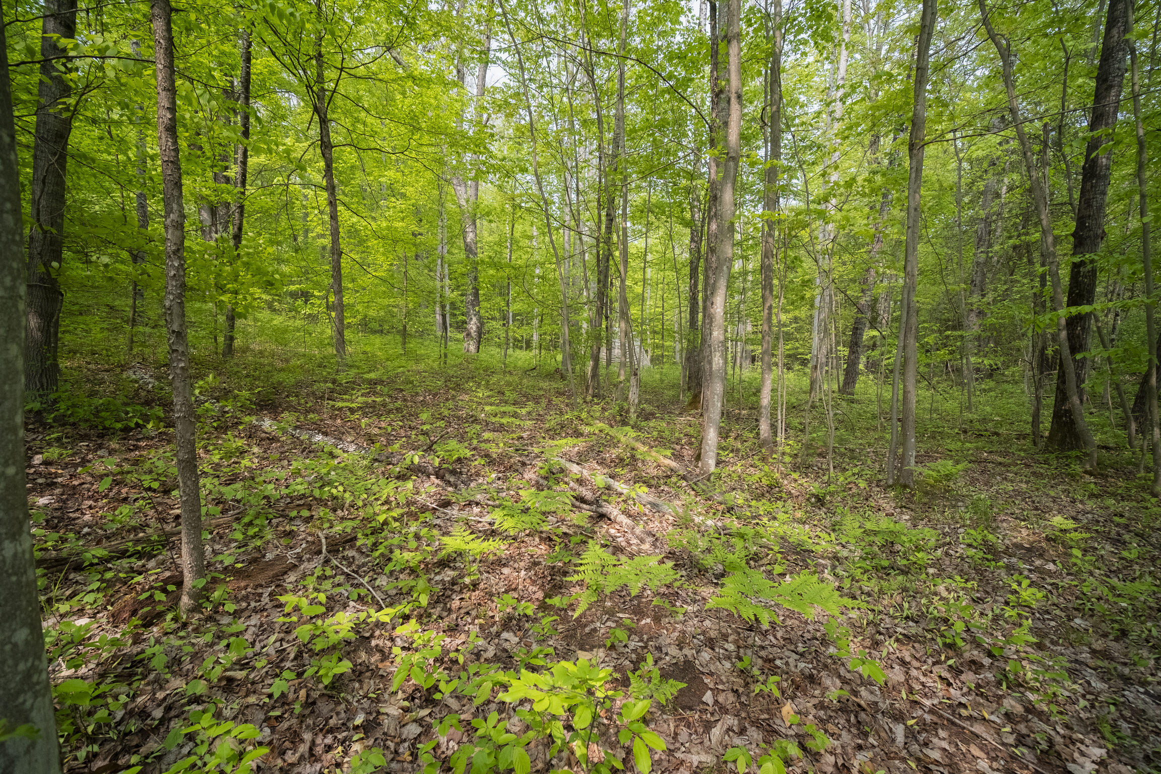 (5.70 Acres) Carter Creek Road