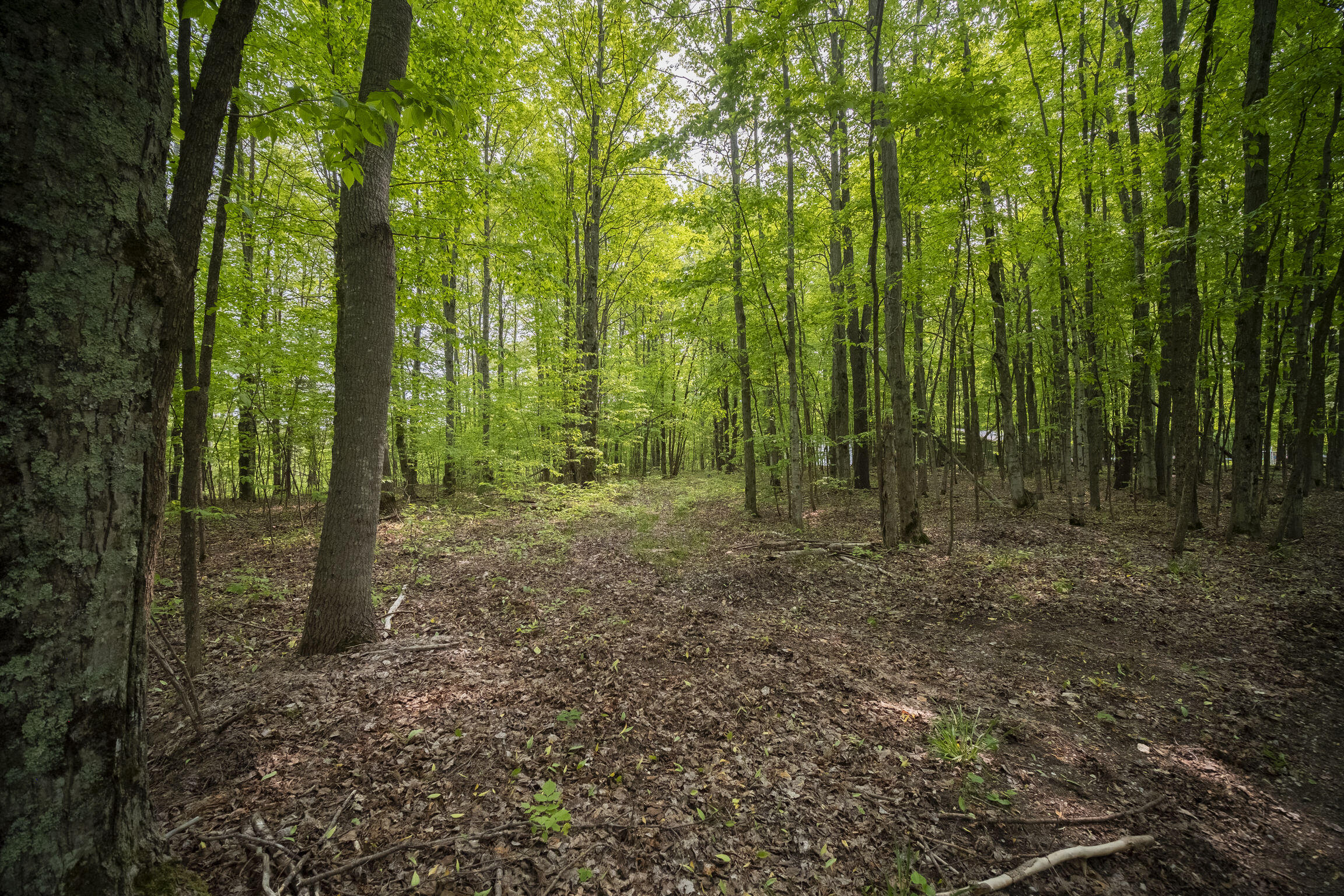 (5.70 Acres) Carter Creek Road