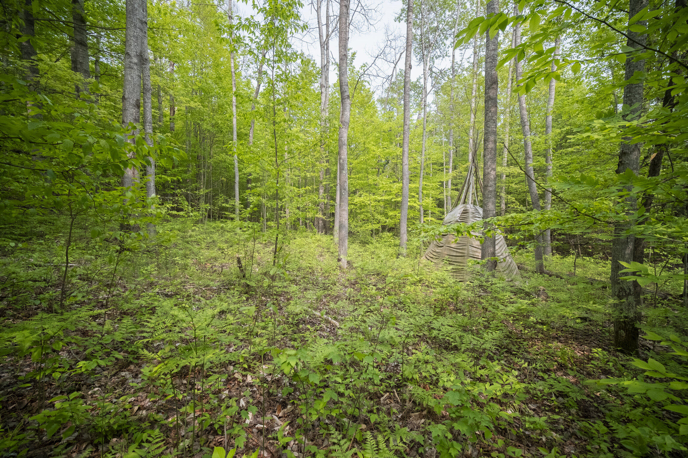 (5.70 Acres) Carter Creek Road