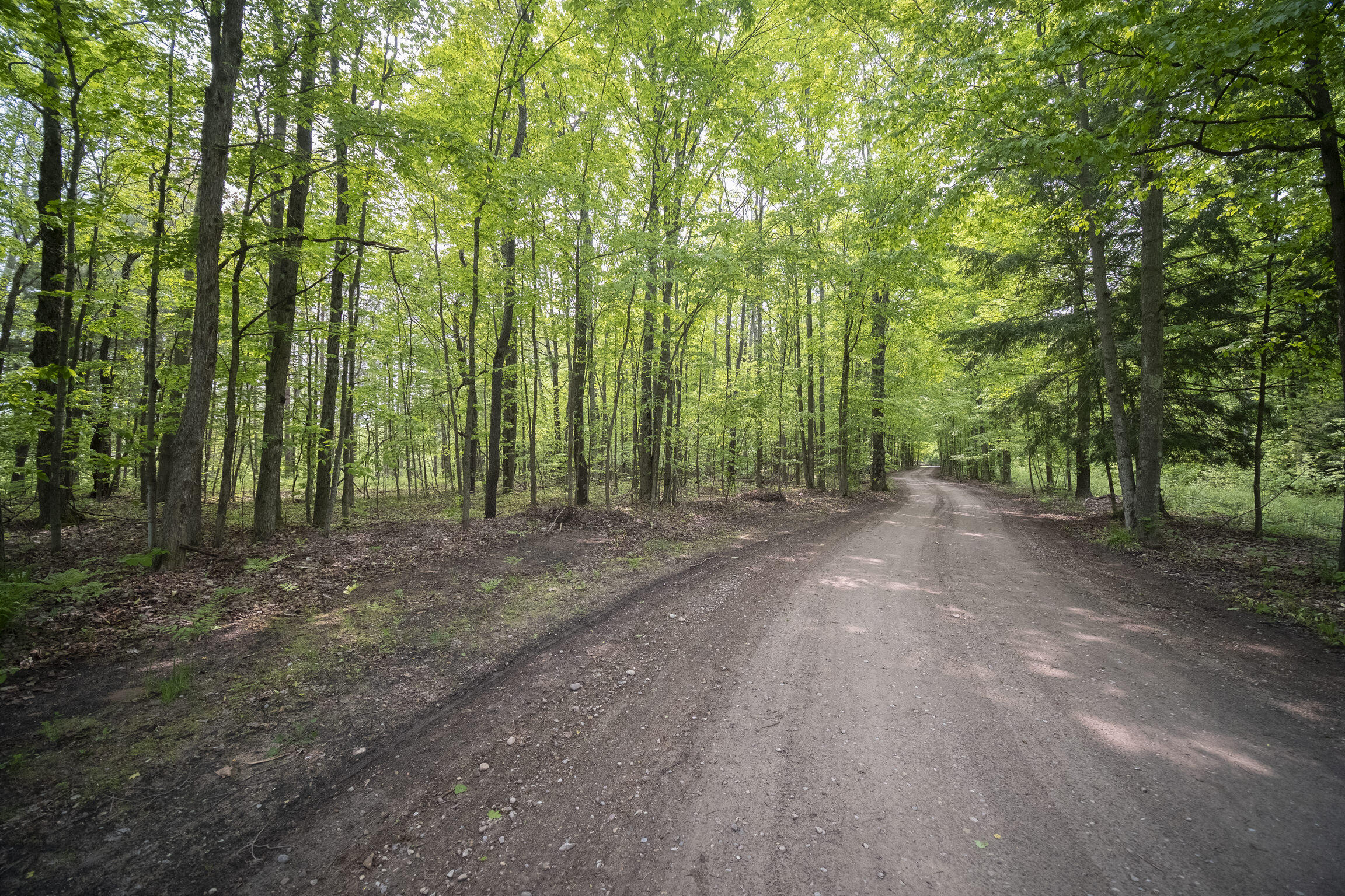(5.70 Acres) Carter Creek Road