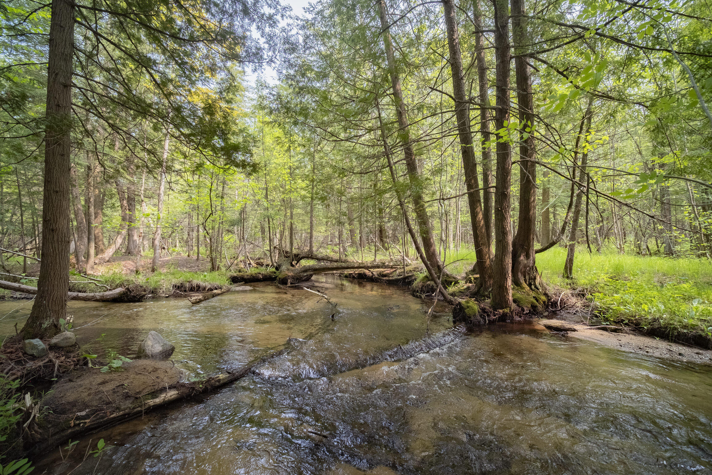 (5.70 Acres) Carter Creek Road