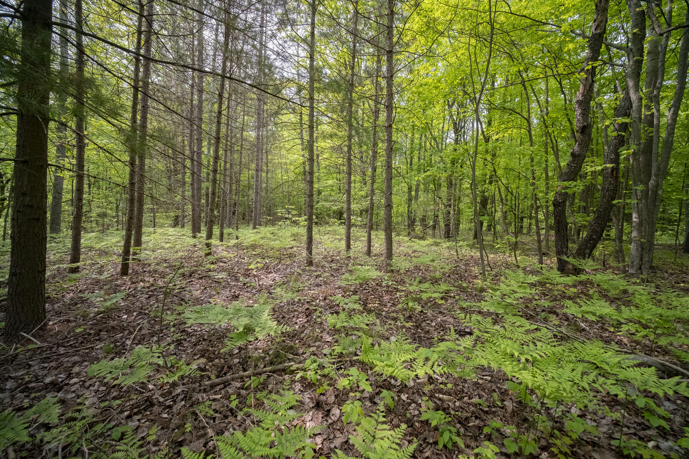 (5.70 Acres) Carter Creek Road