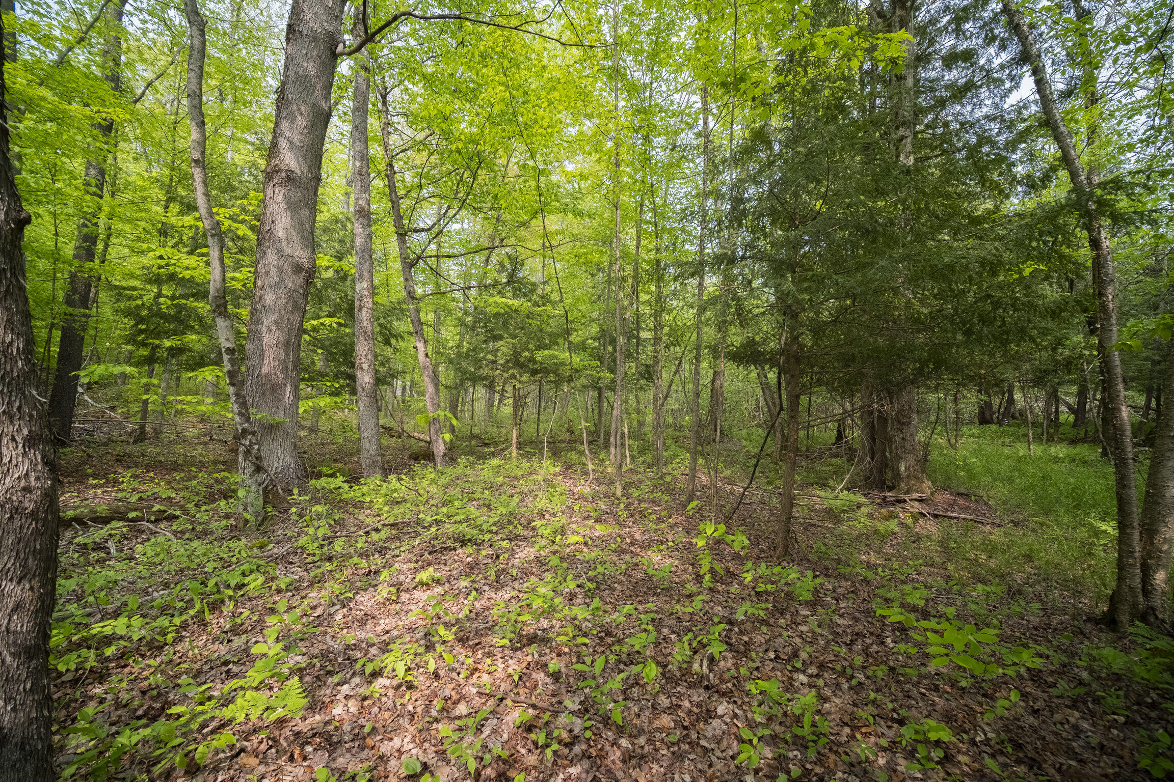 (5.70 Acres) Carter Creek Road