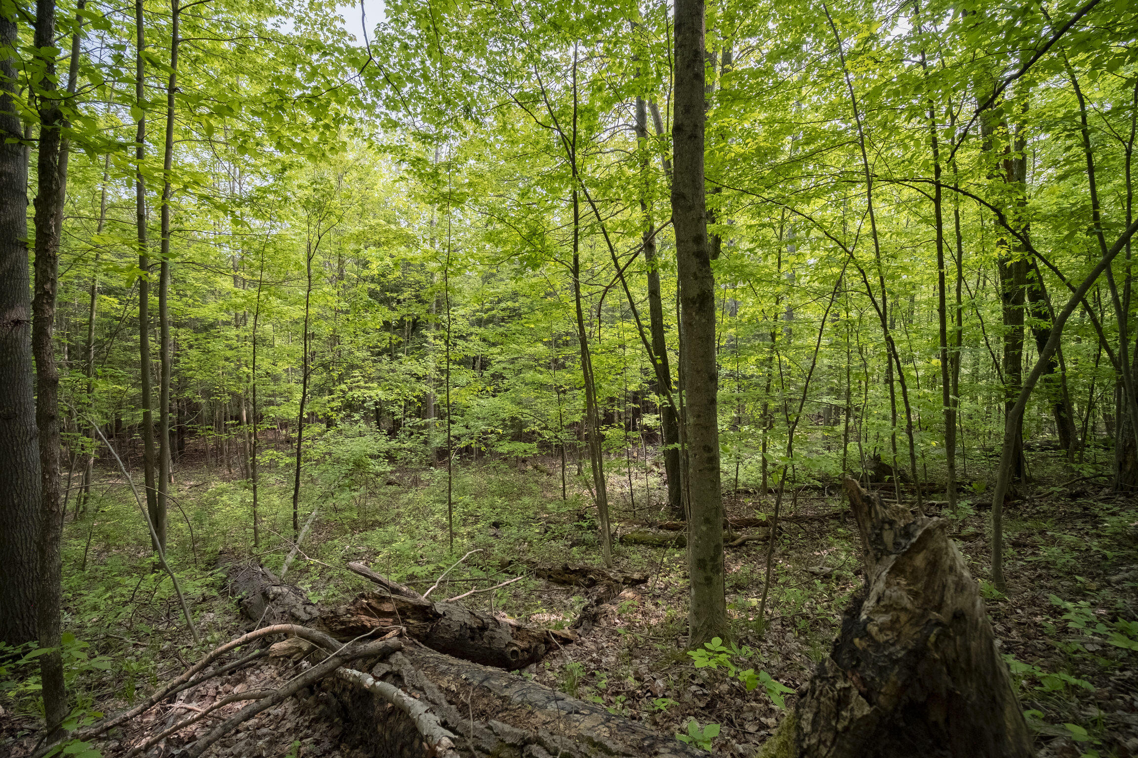 (5.70 Acres) Carter Creek Road