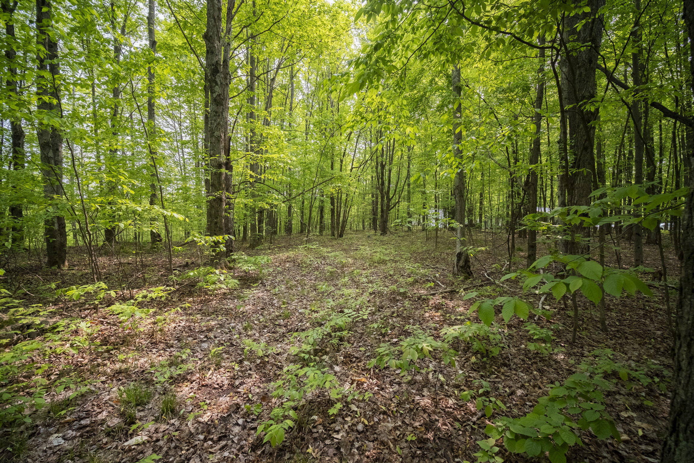 (5.70 Acres) Carter Creek Road