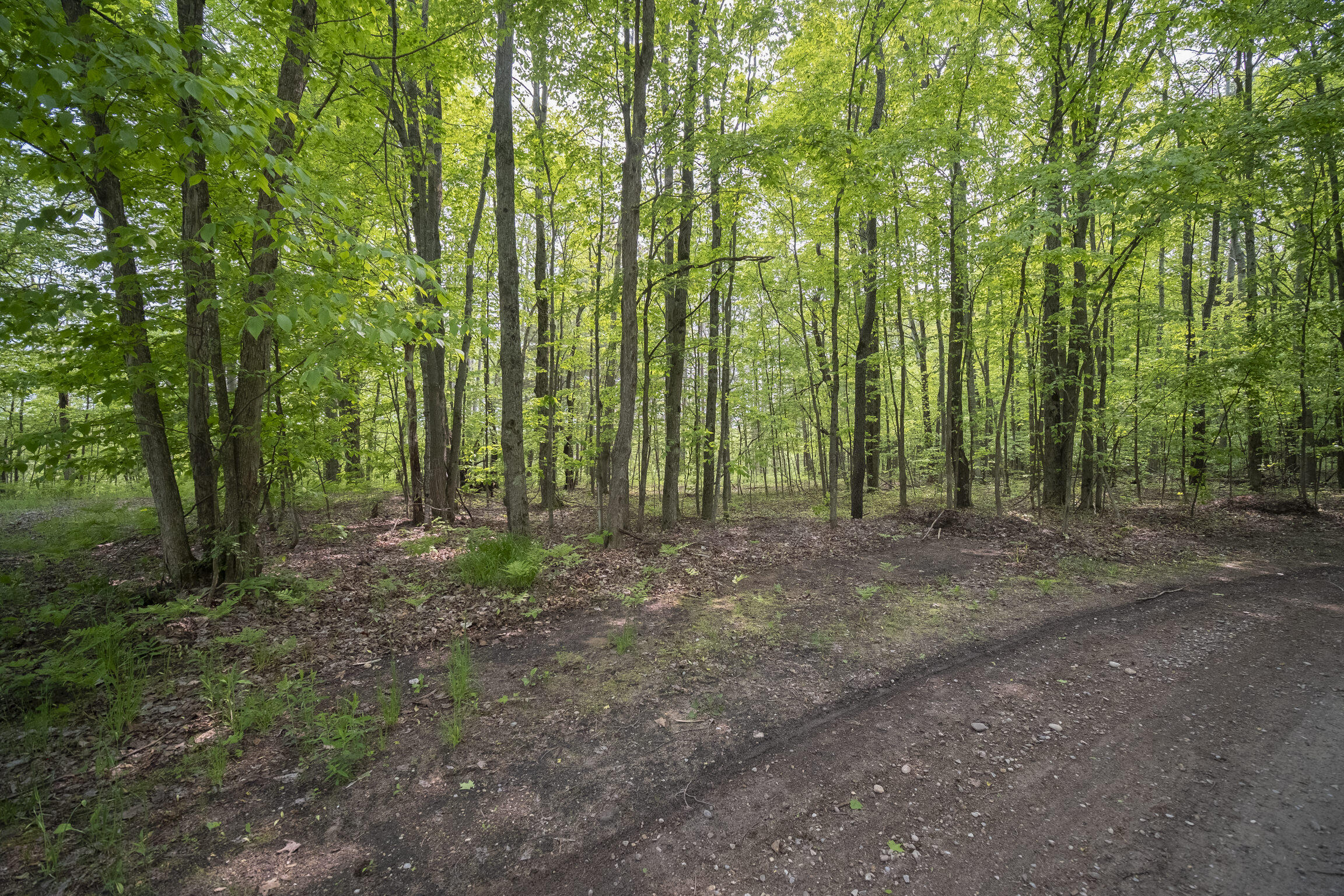 (5.70 Acres) Carter Creek Road