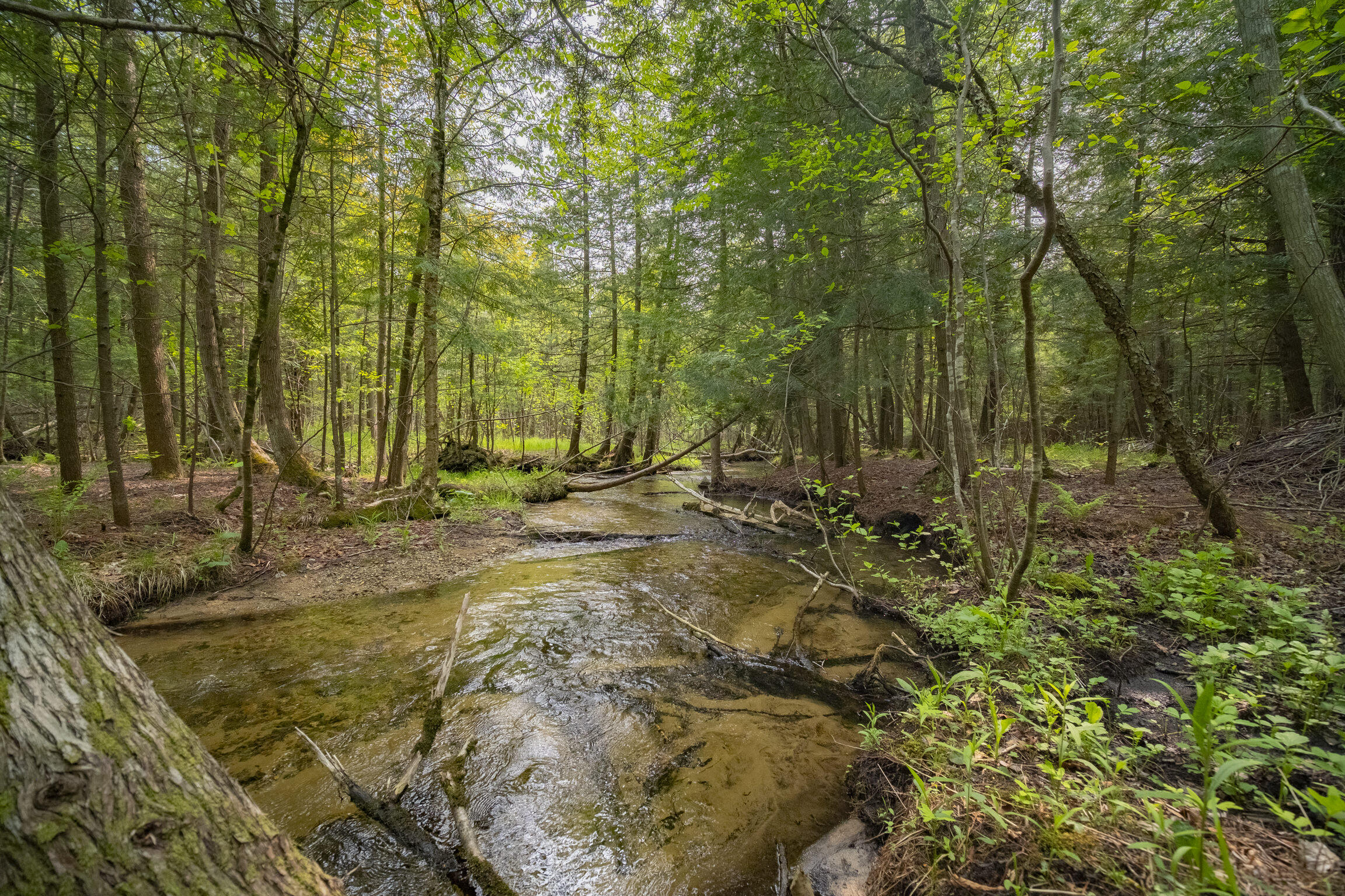 (5.70 Acres) Carter Creek Road