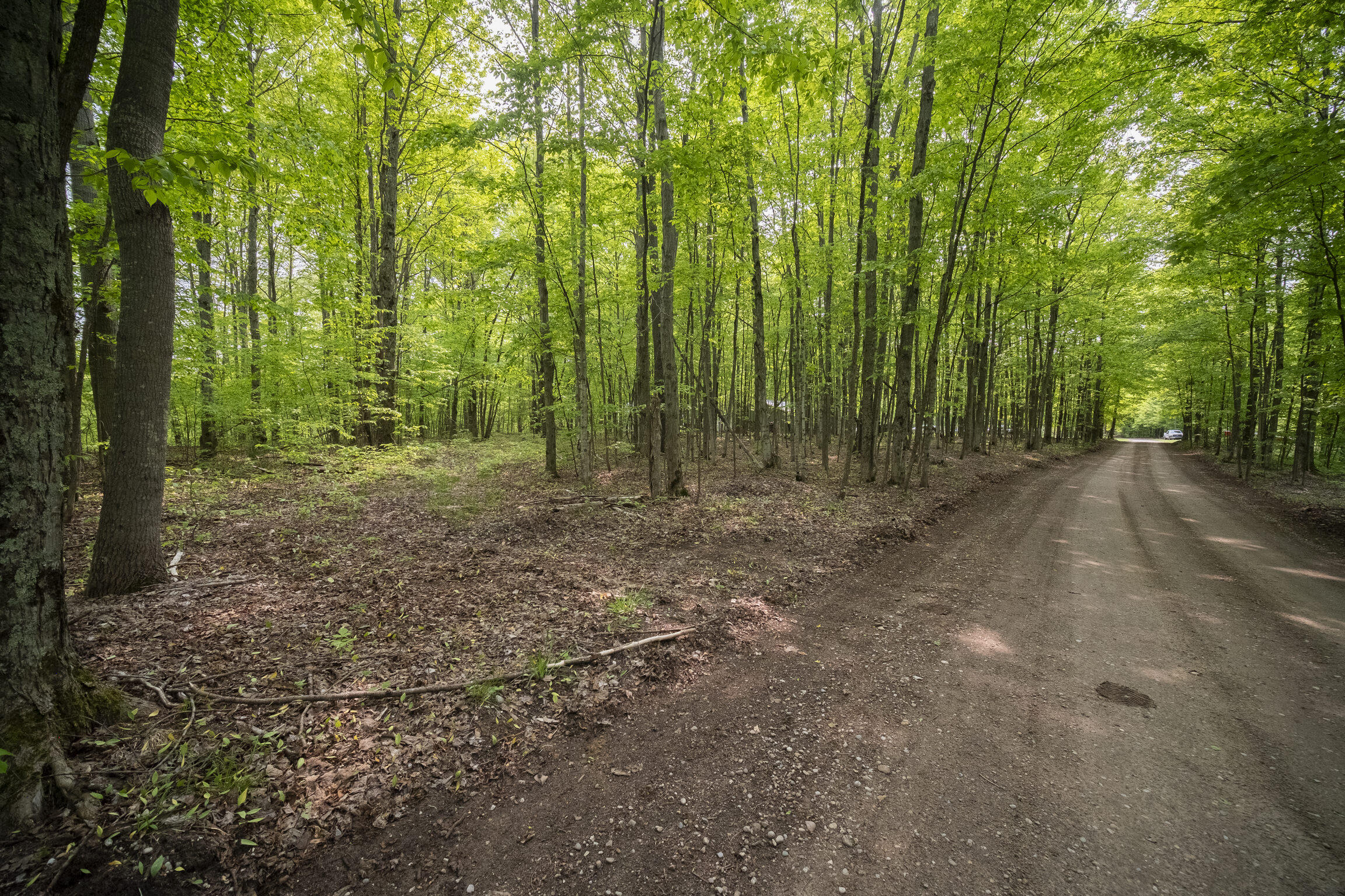 (5.70 Acres) Carter Creek Road