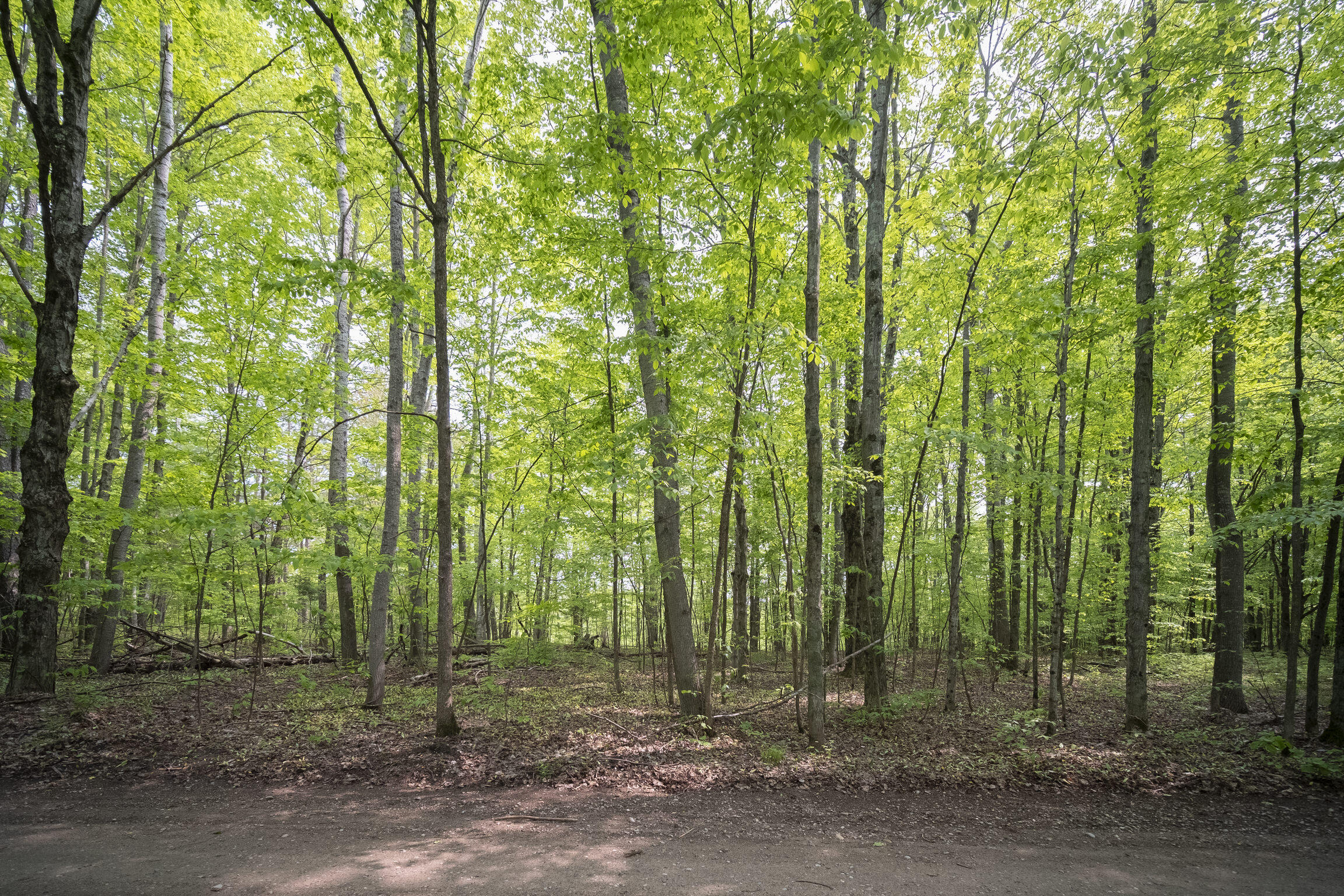 (5.70 Acres) Carter Creek Road