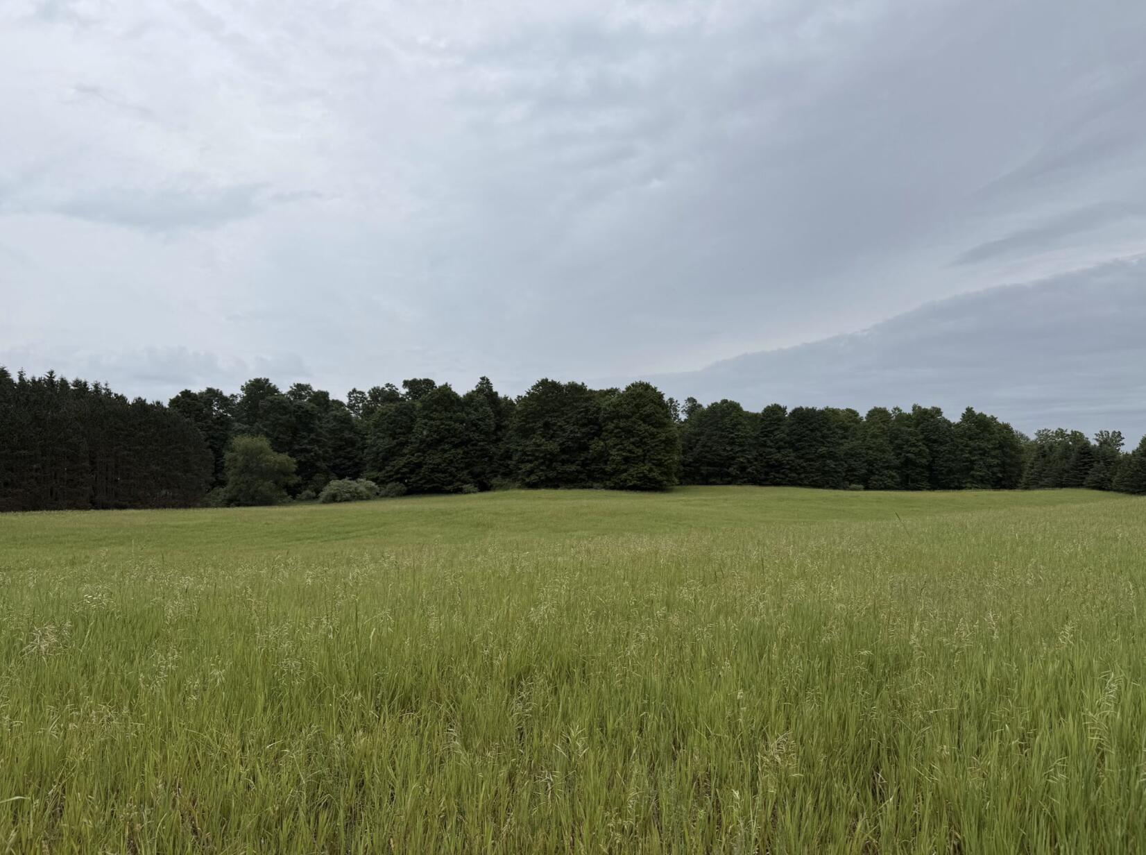 V/L Eight Mile Road