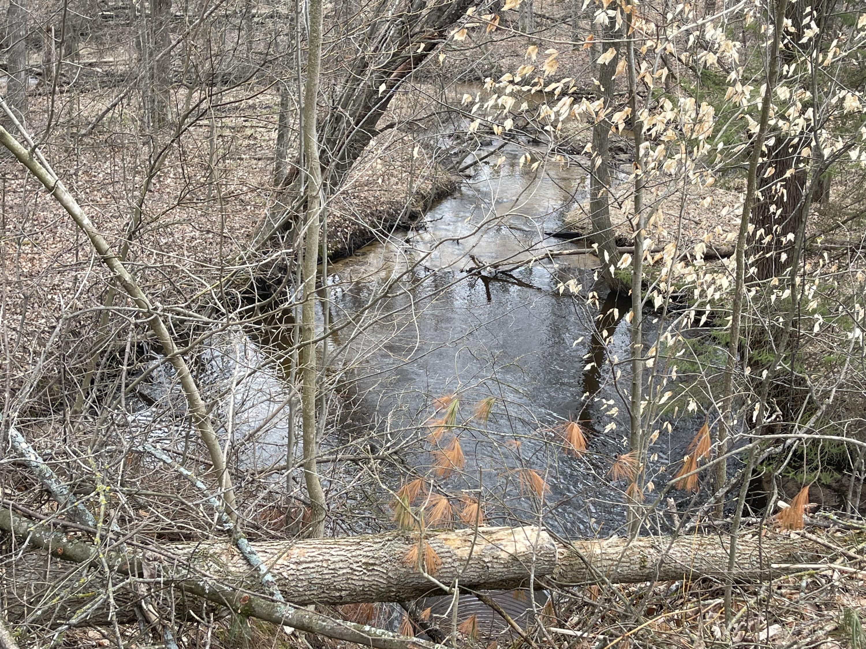 V/L Eight Mile Road