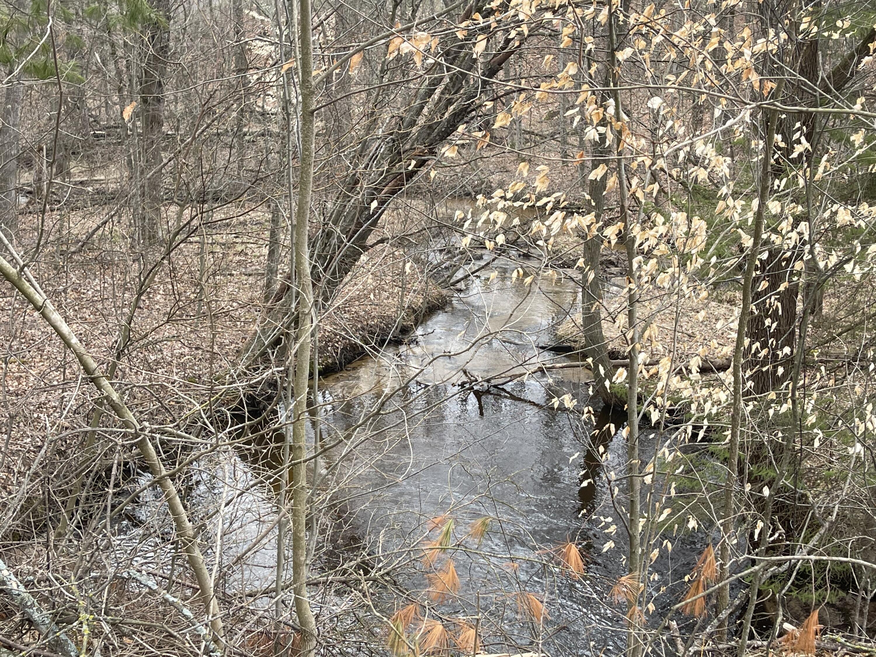 V/L Eight Mile Road