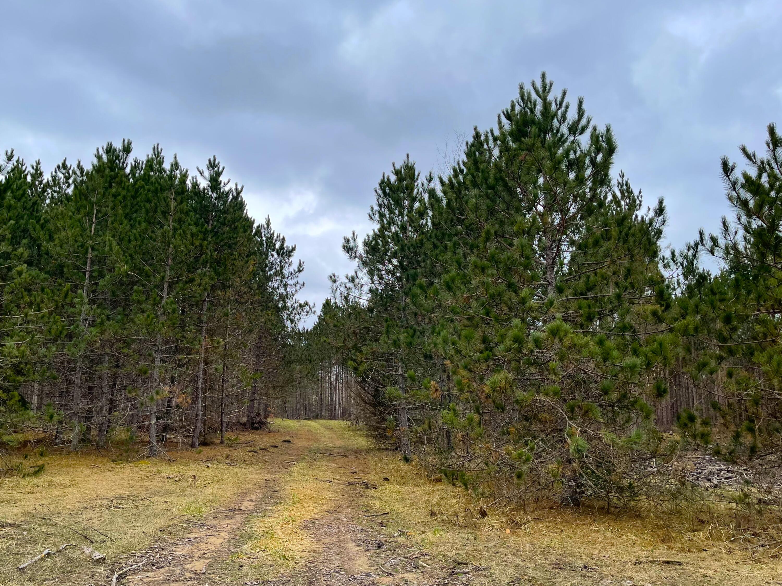 V/L Eight Mile Road