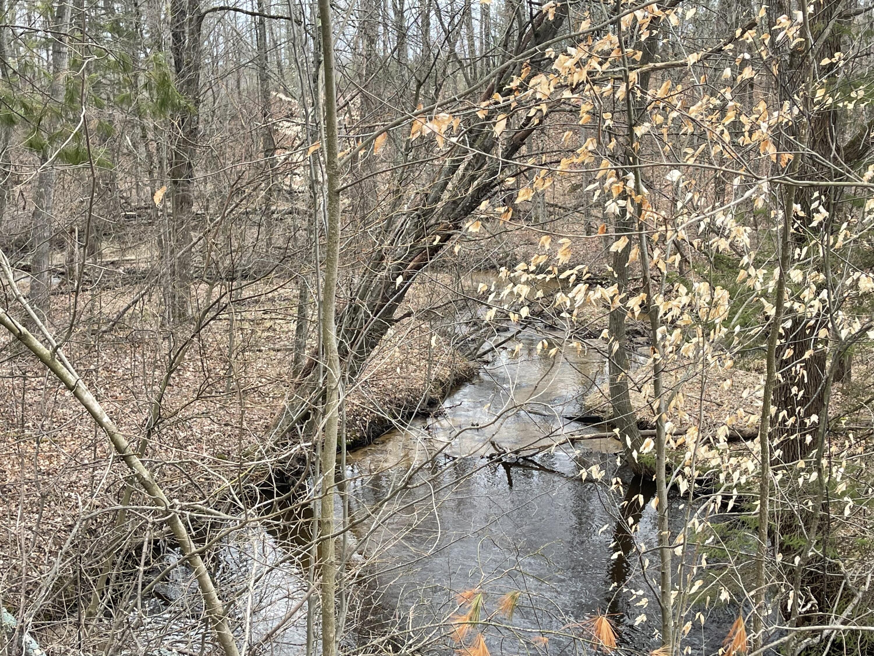 V/L Eight Mile Road