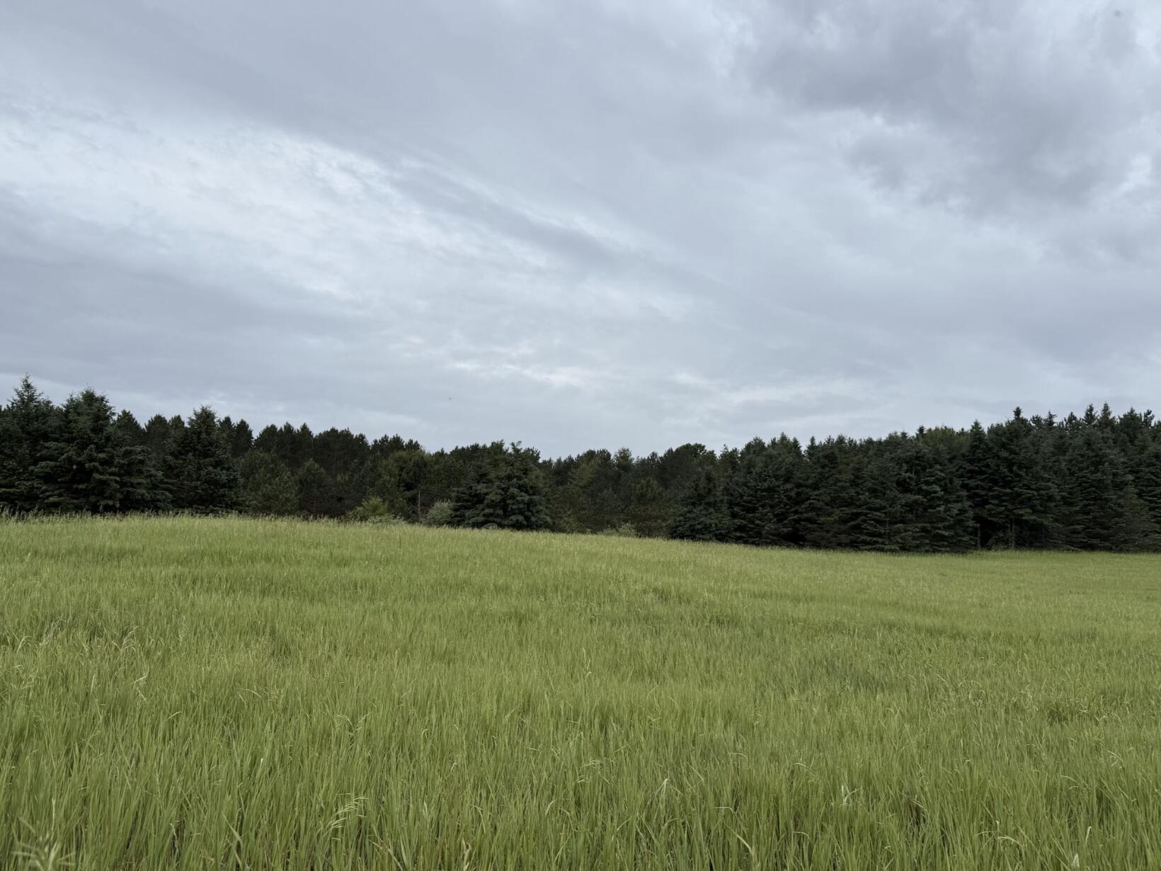 V/L Eight Mile Road