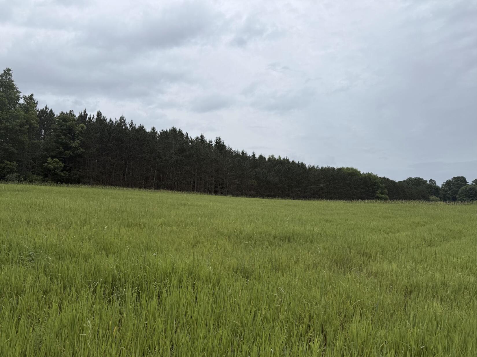 V/L Eight Mile Road