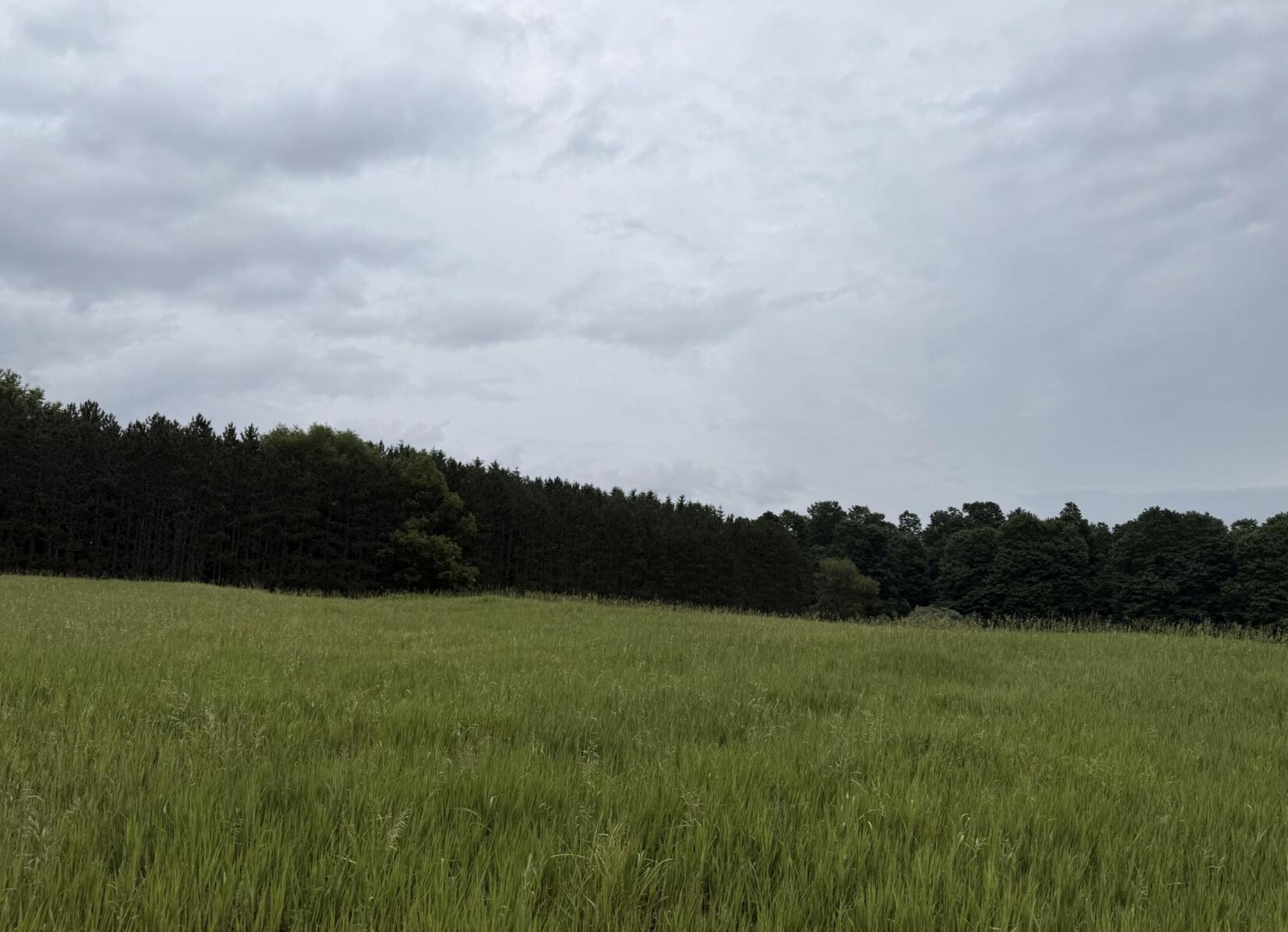 V/L Eight Mile Road