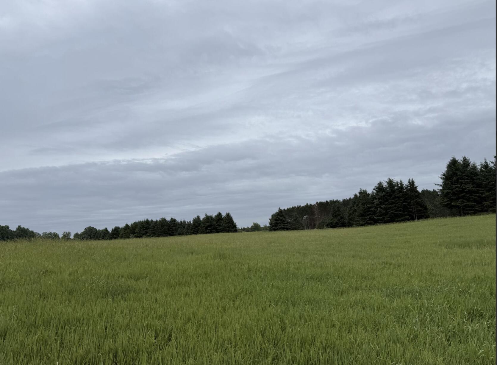 V/L Eight Mile Road