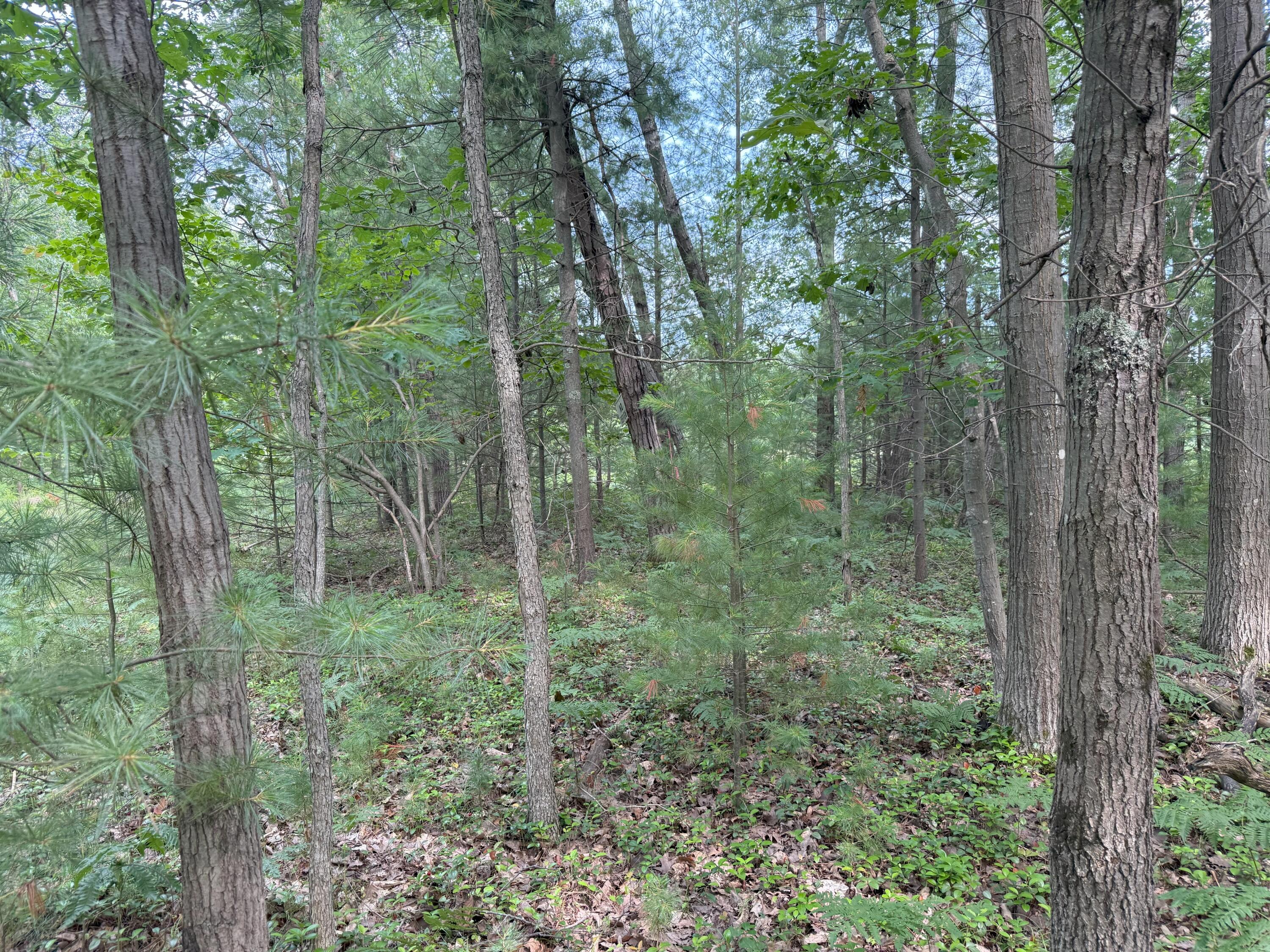 V/L Critter Trail Parcel B