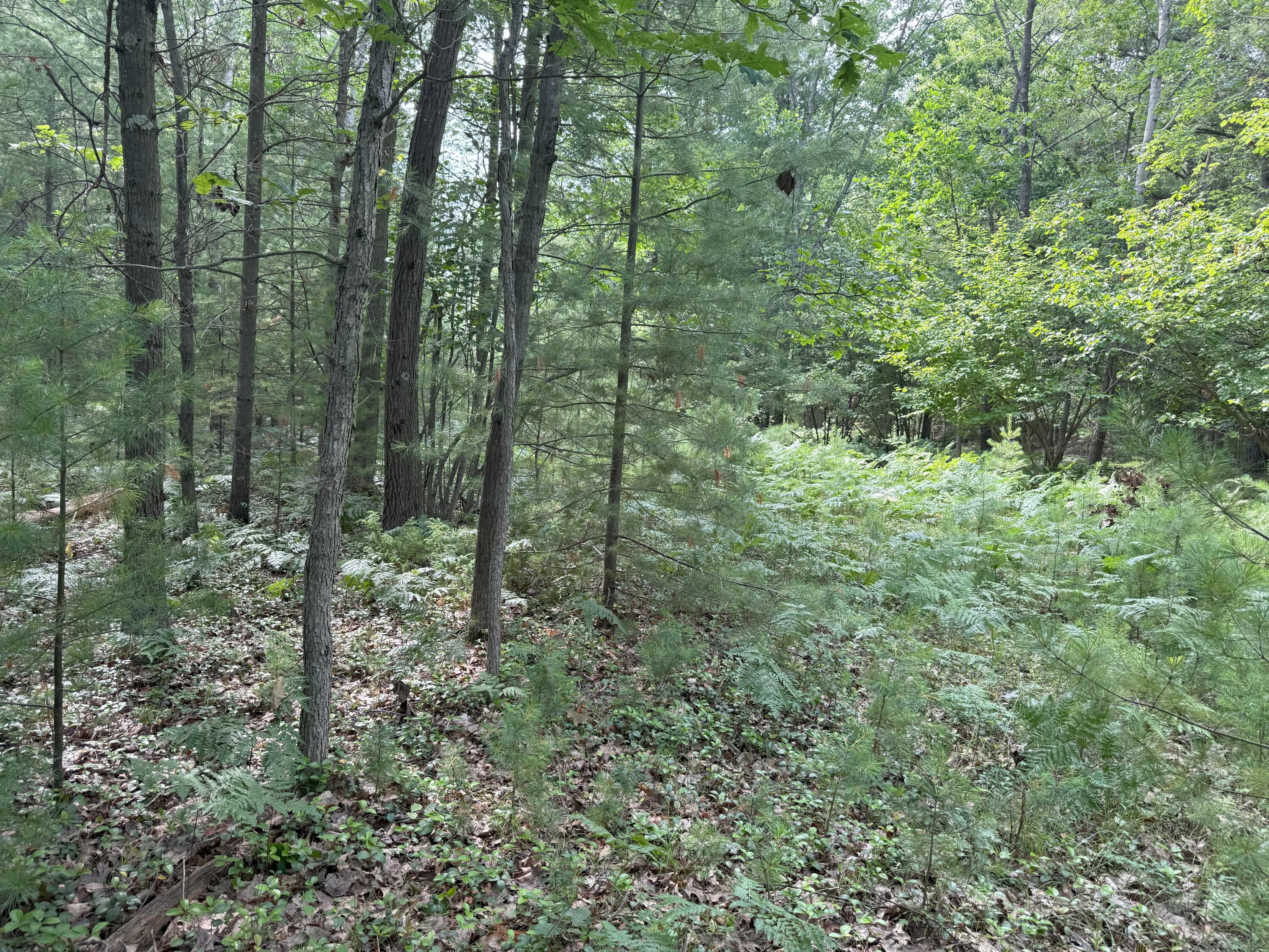 V/L Critter Trail Parcel B