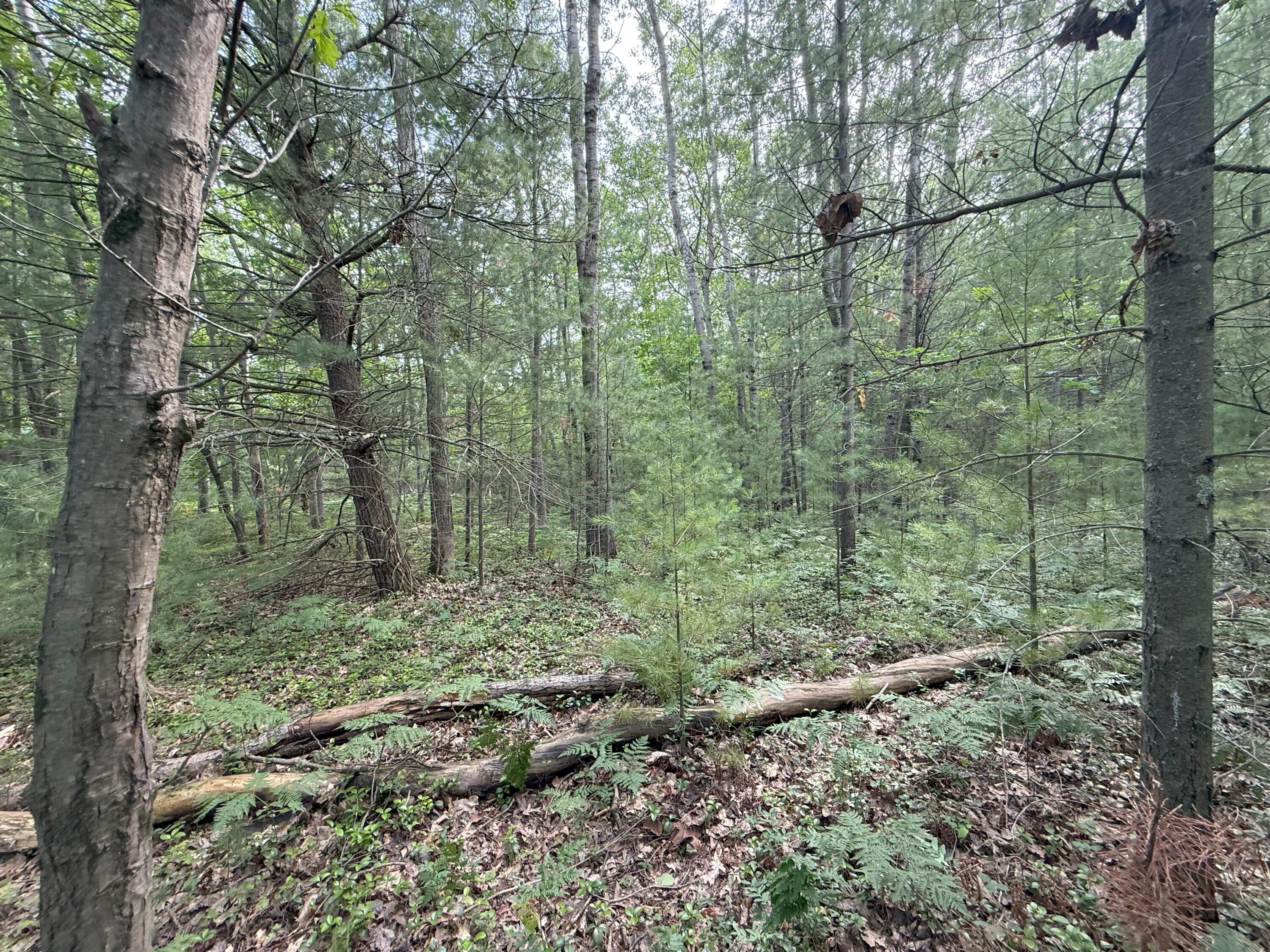 V/L Critter Trail Parcel B