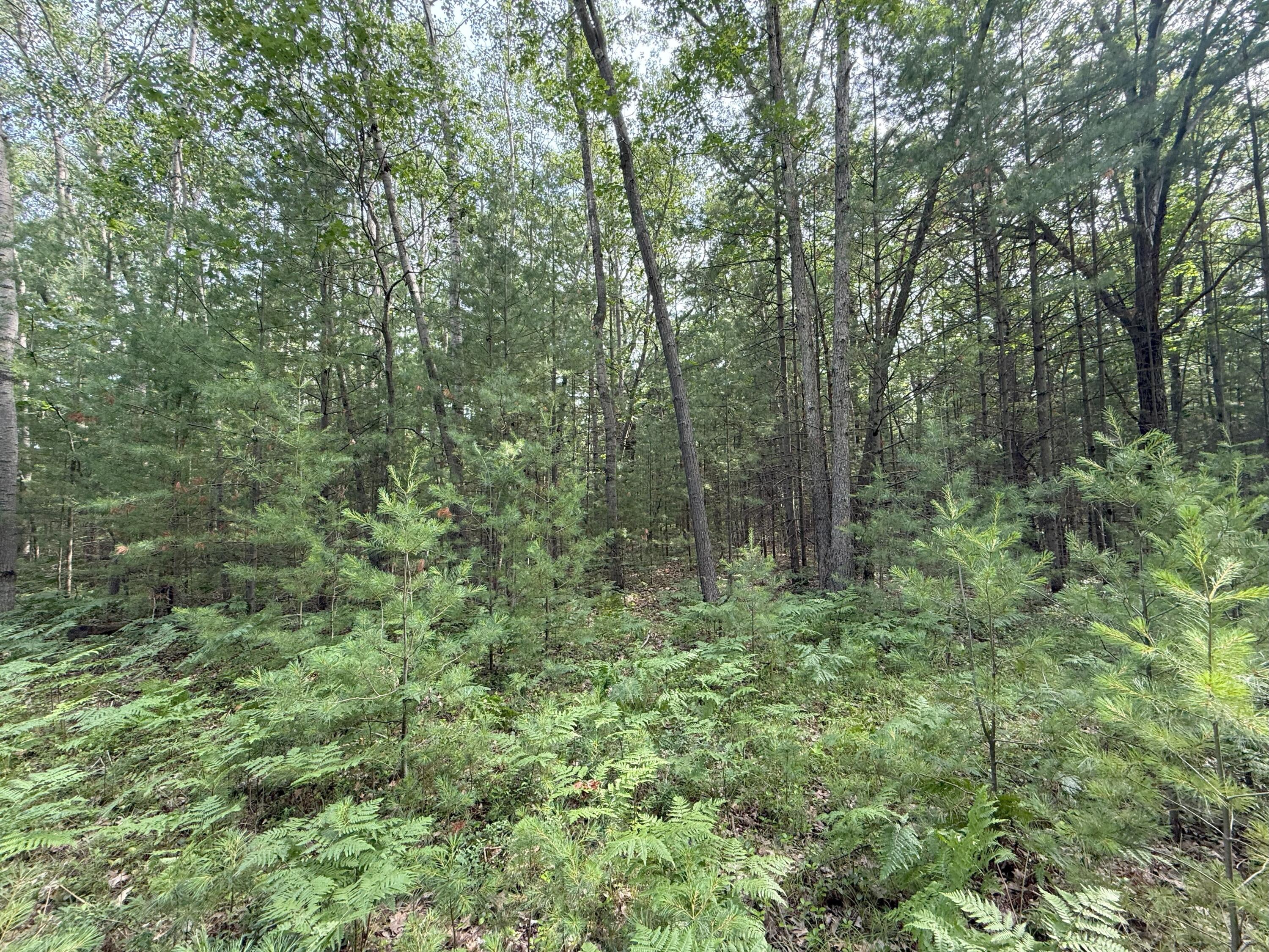 V/L Critter Trail Parcel B