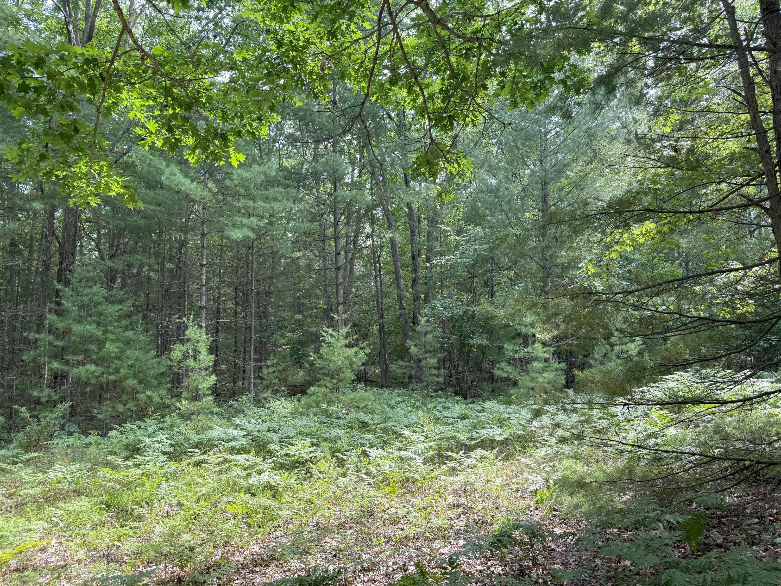 V/L Critter Trail Parcel B
