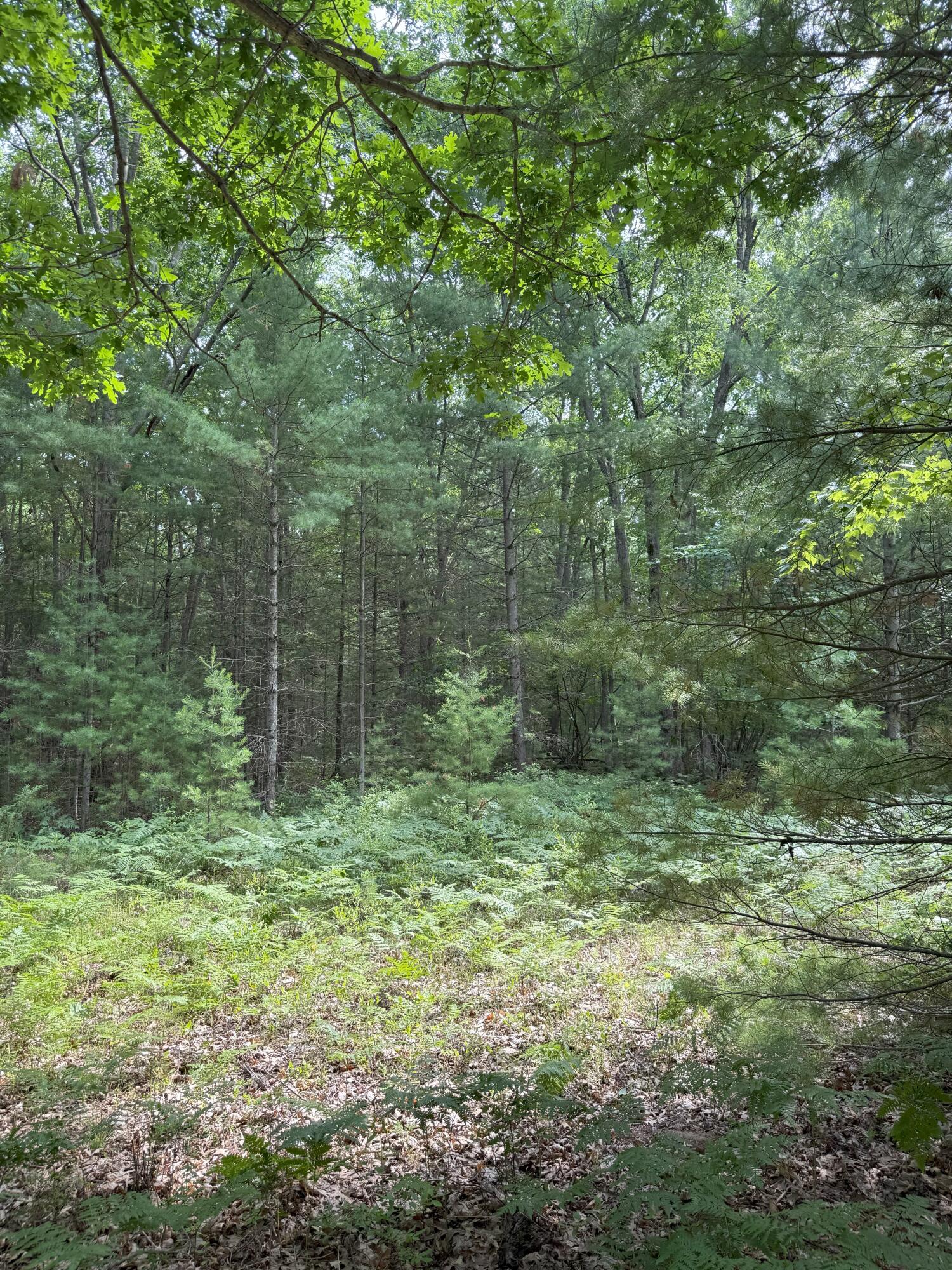 V/L Critter Trail Parcel B
