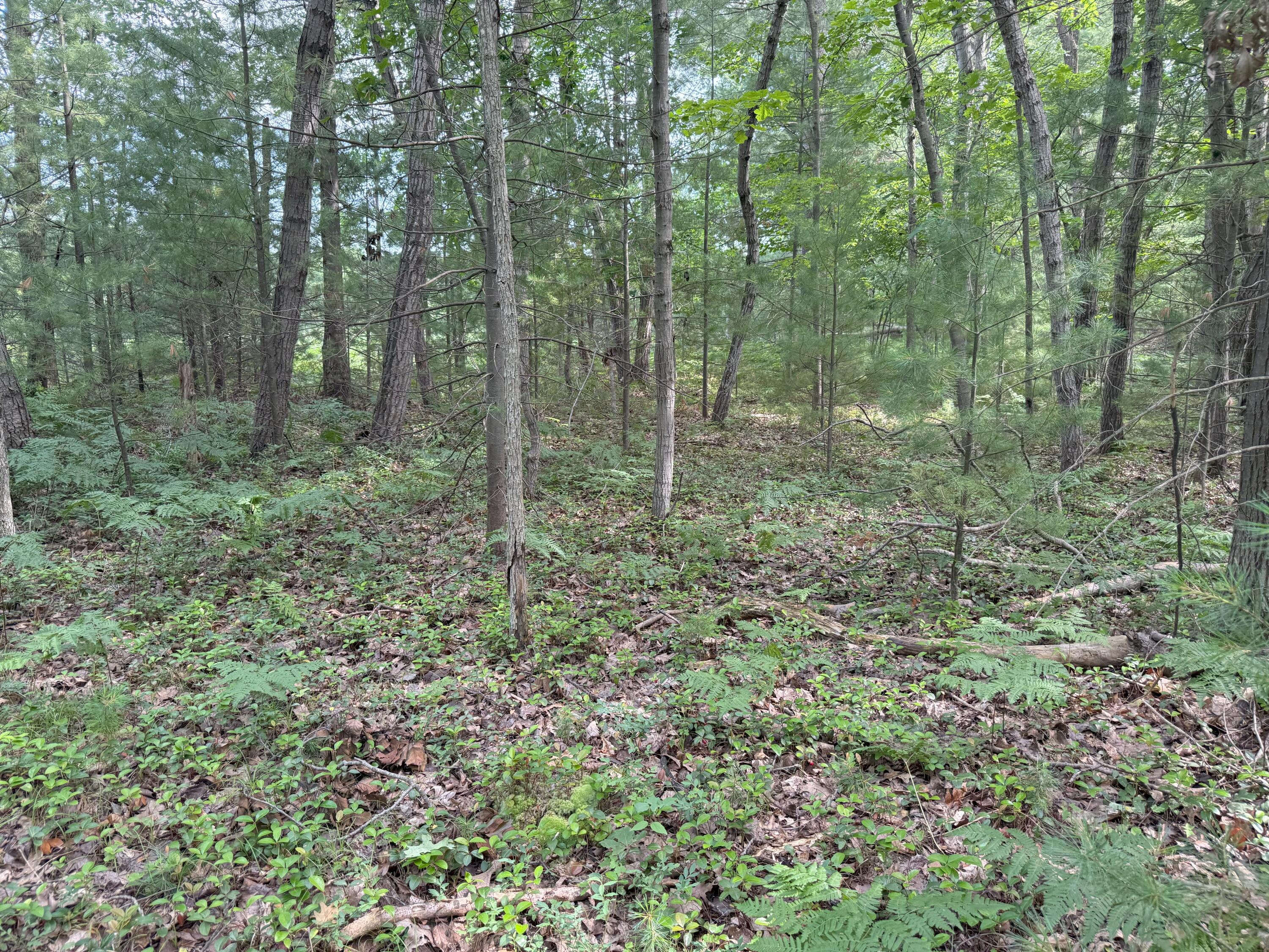 V/L Critter Trail Parcel B