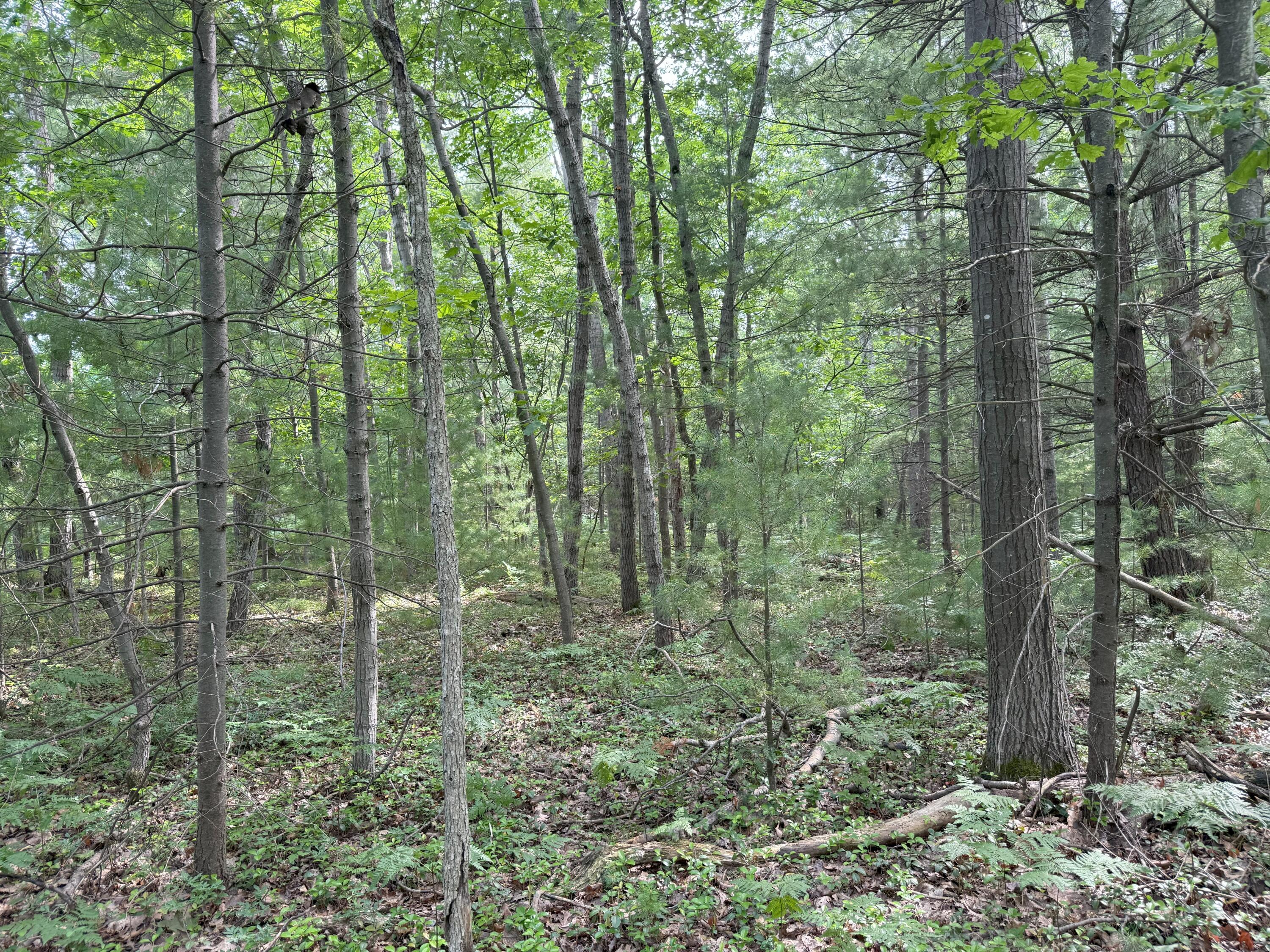 V/L Critter Trail Parcel B