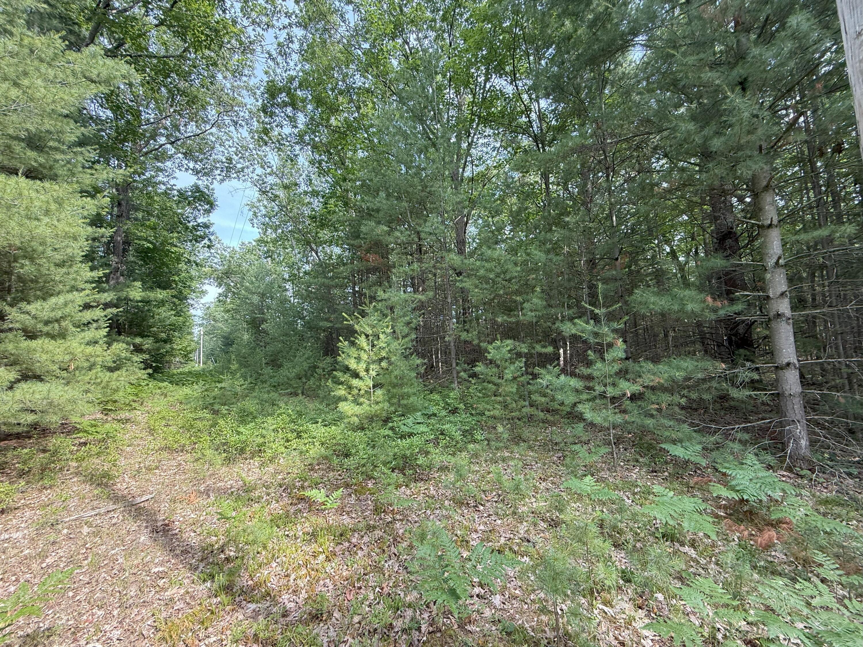 V/L Critter Trail Parcel B