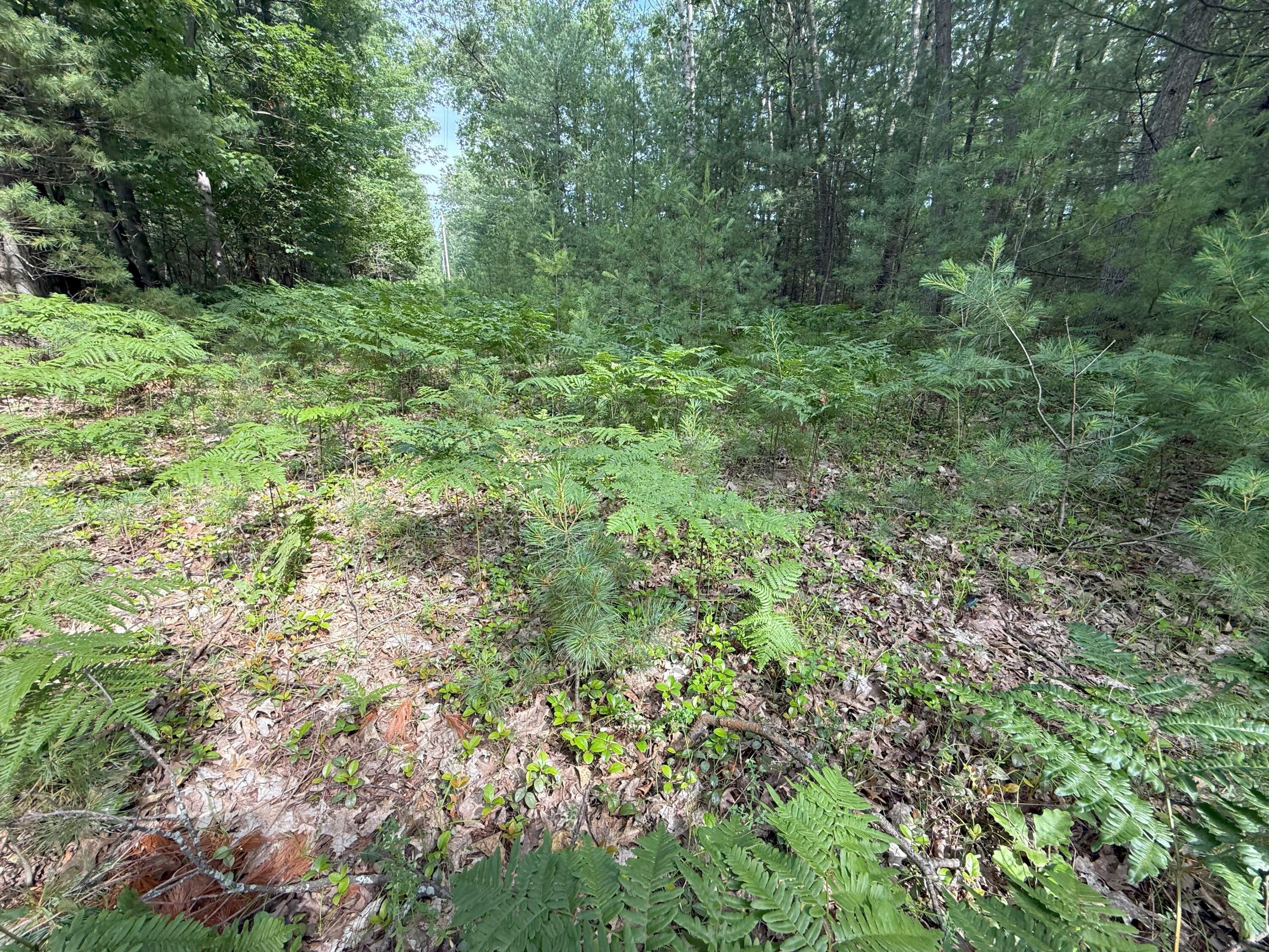 V/L Critter Trail Parcel B