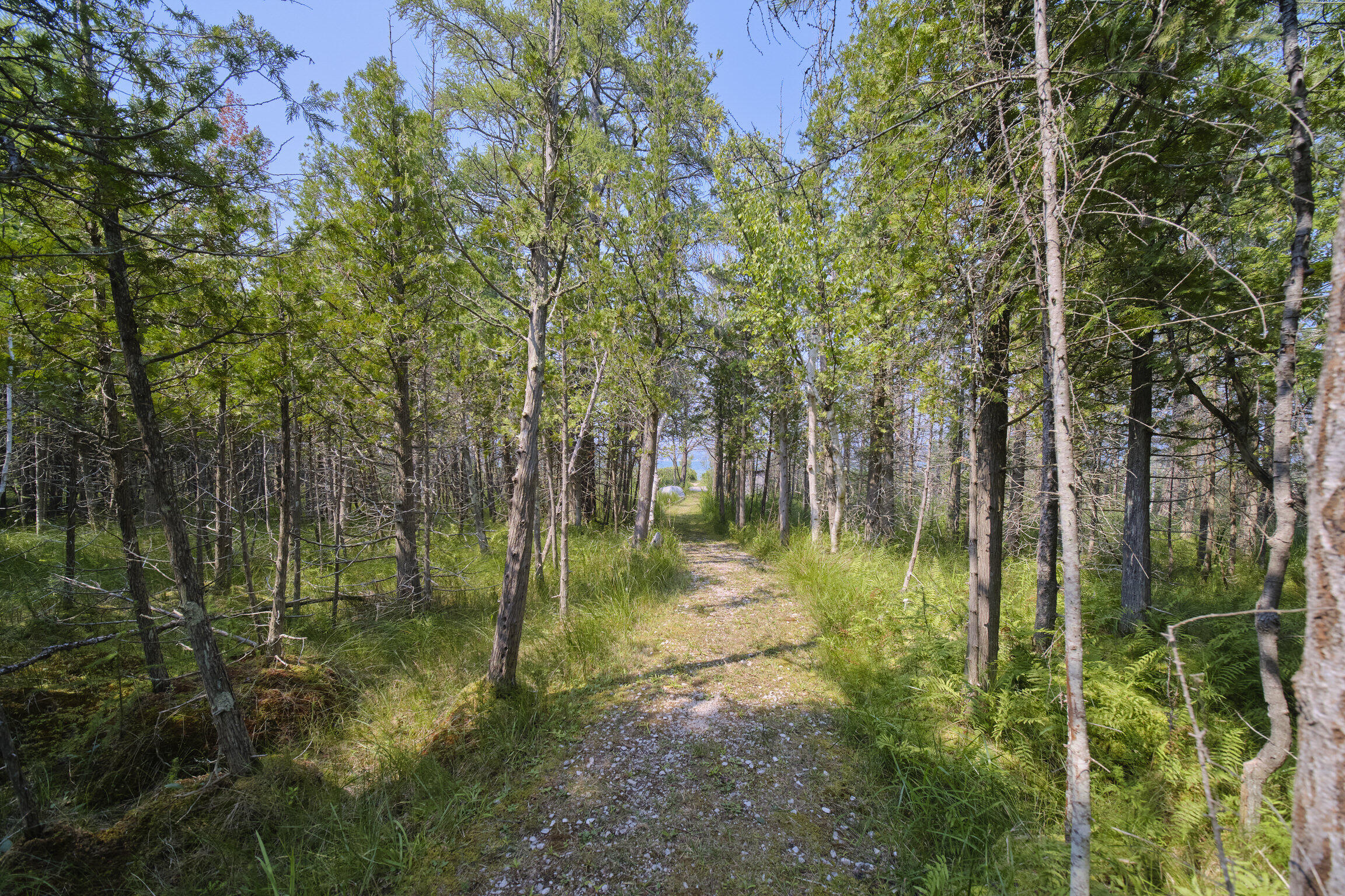 2521 Crescent Beach Road