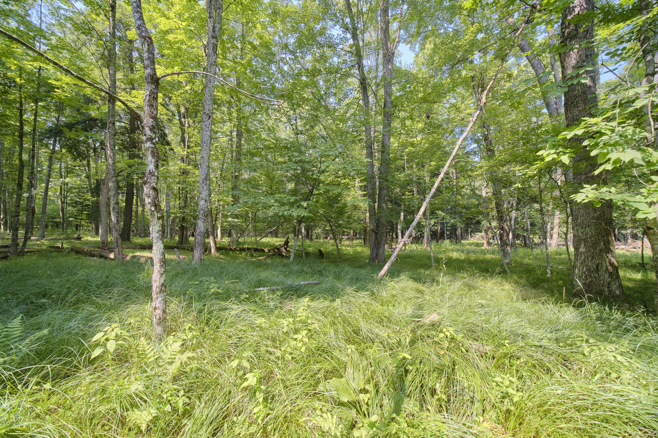 9670 S County Line Road