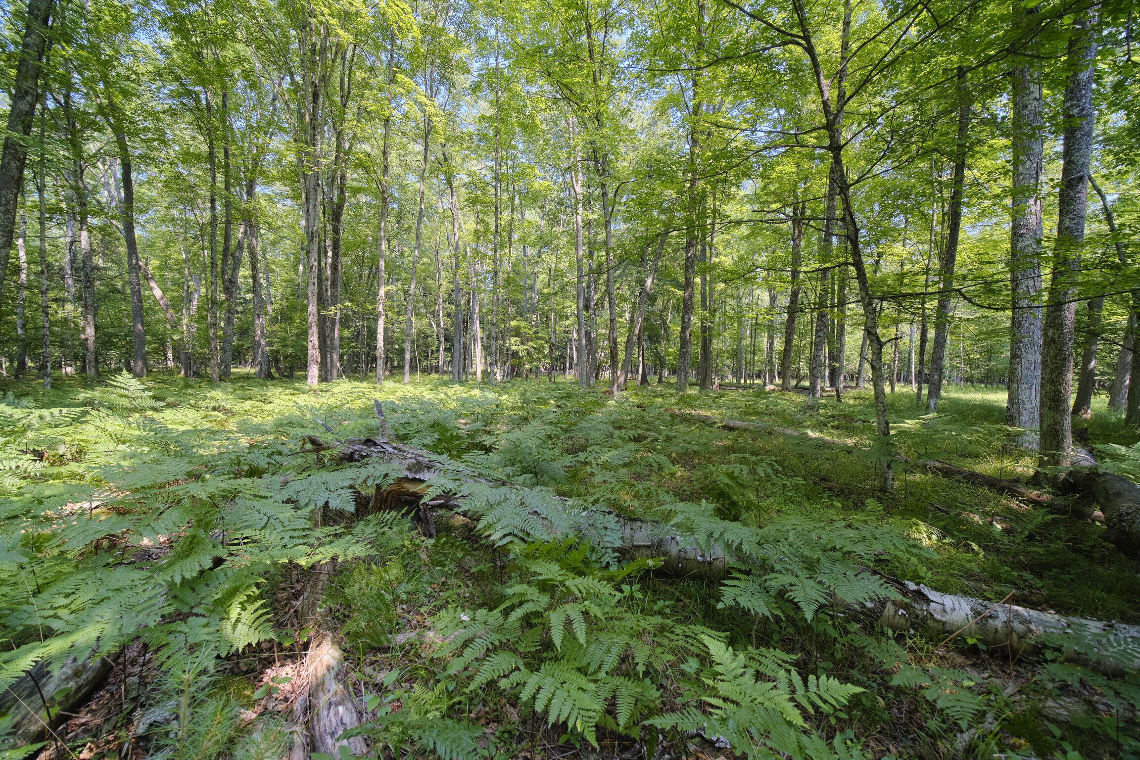 9670 S County Line Road