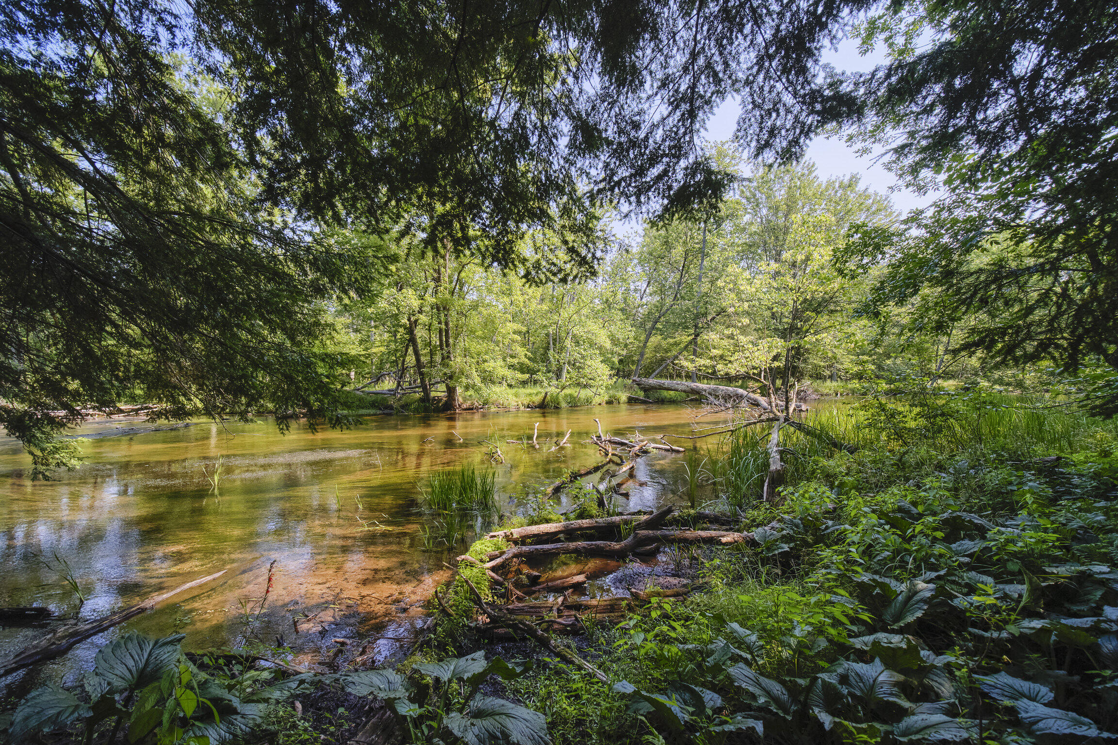 9670 S County Line Road
