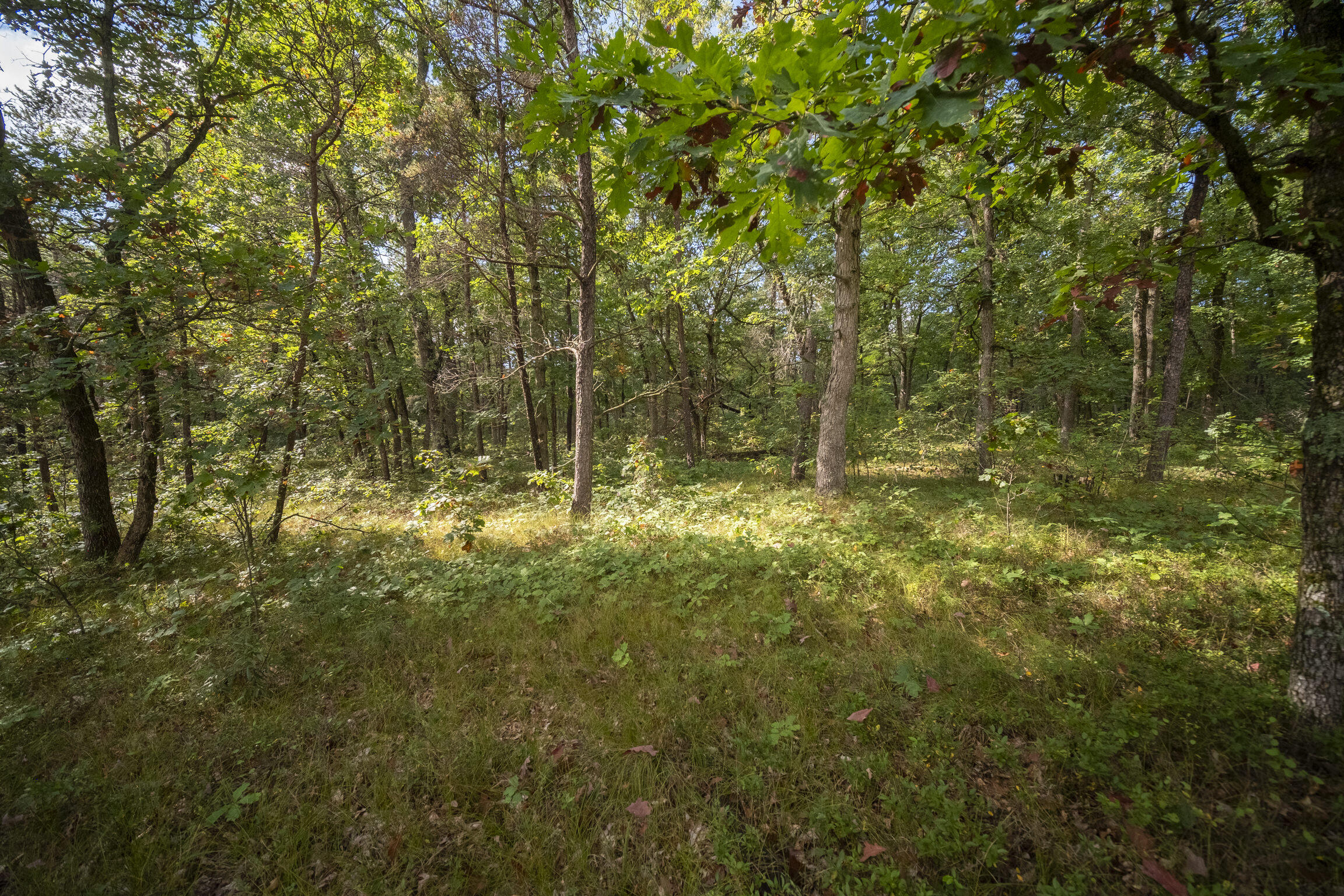 (10 Acres) Rybicki Road
