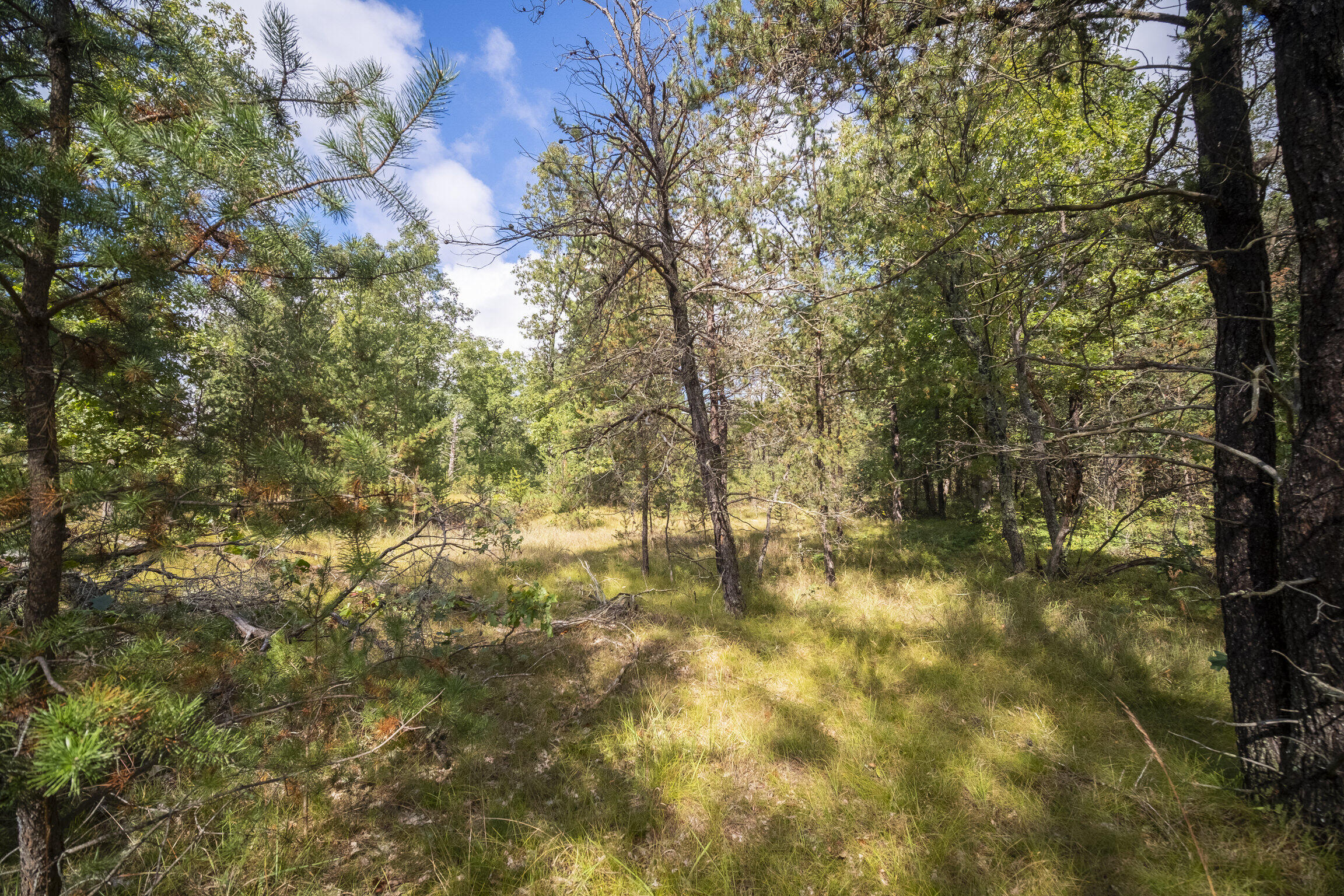 (10 Acres) Rybicki Road