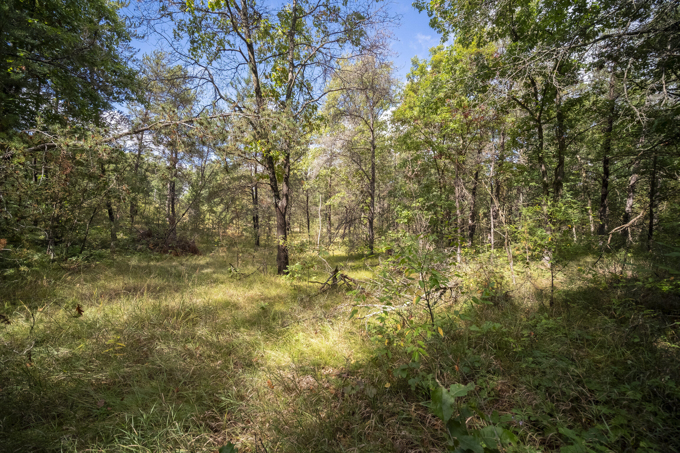 (10 Acres) Rybicki Road